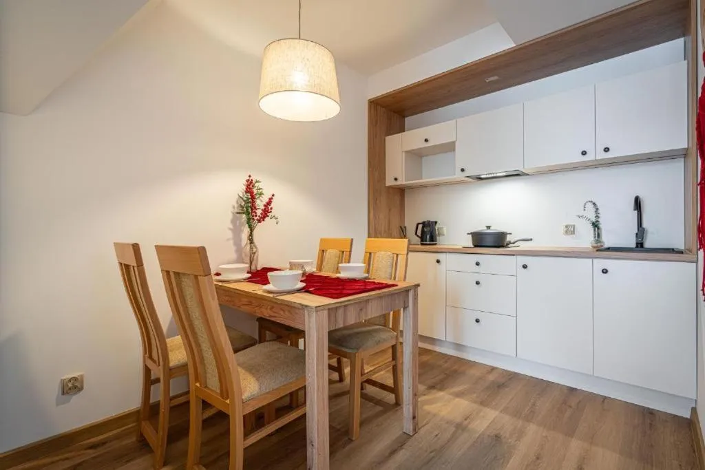 Kitchen or kitchenette in Pensjonat Dawidek