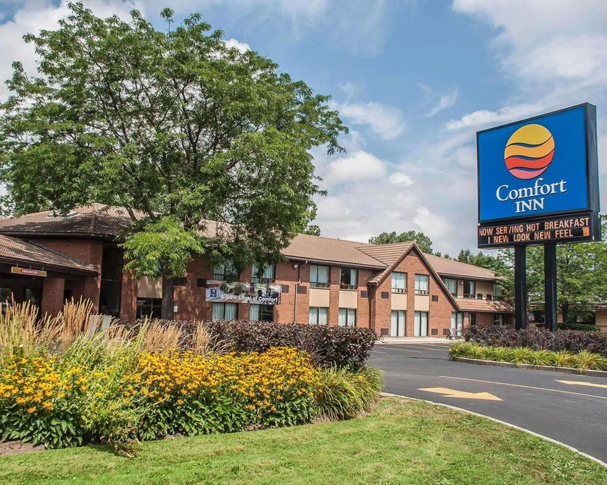 Property building in Comfort Inn