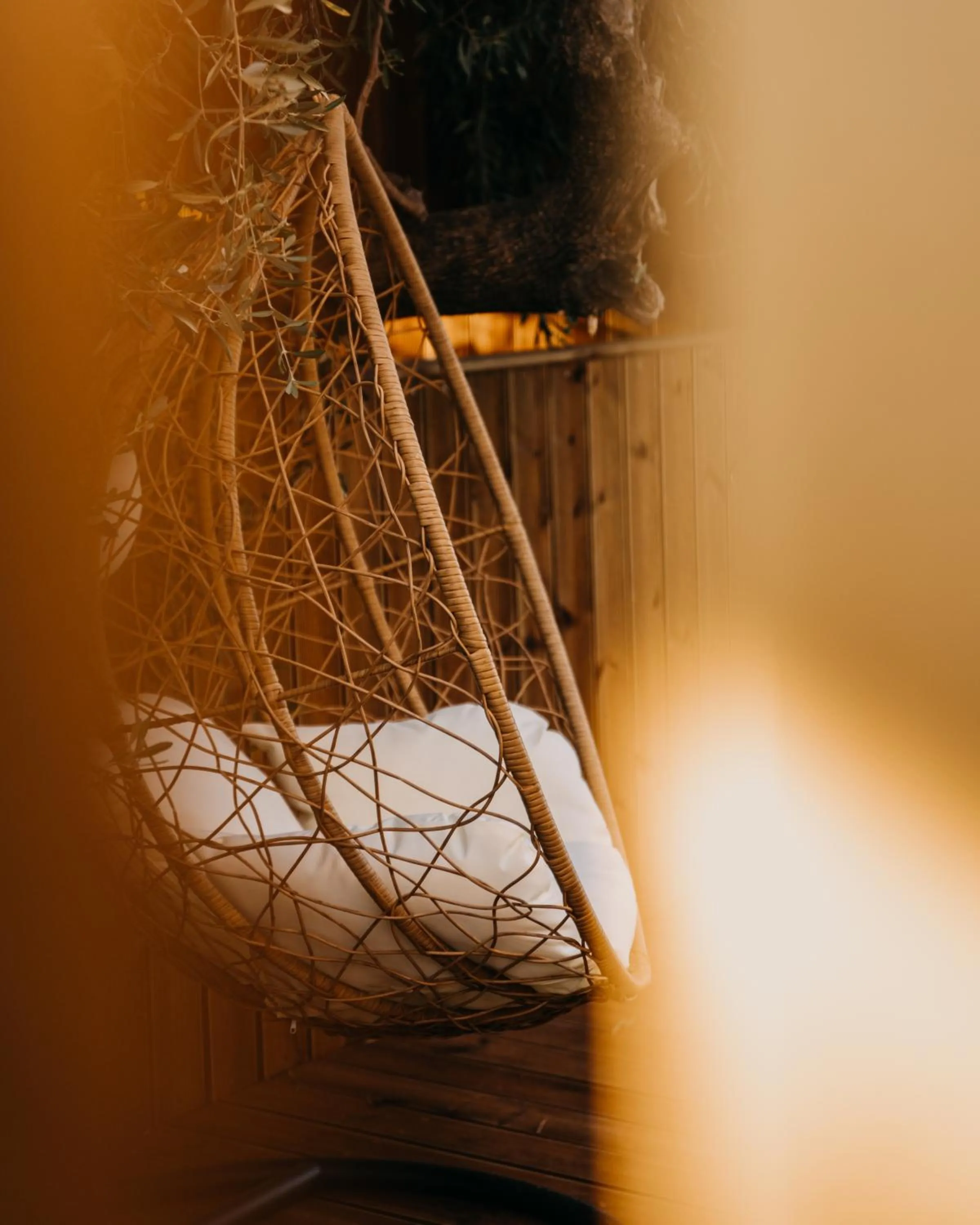 Activities in Zante Calinica Hotel