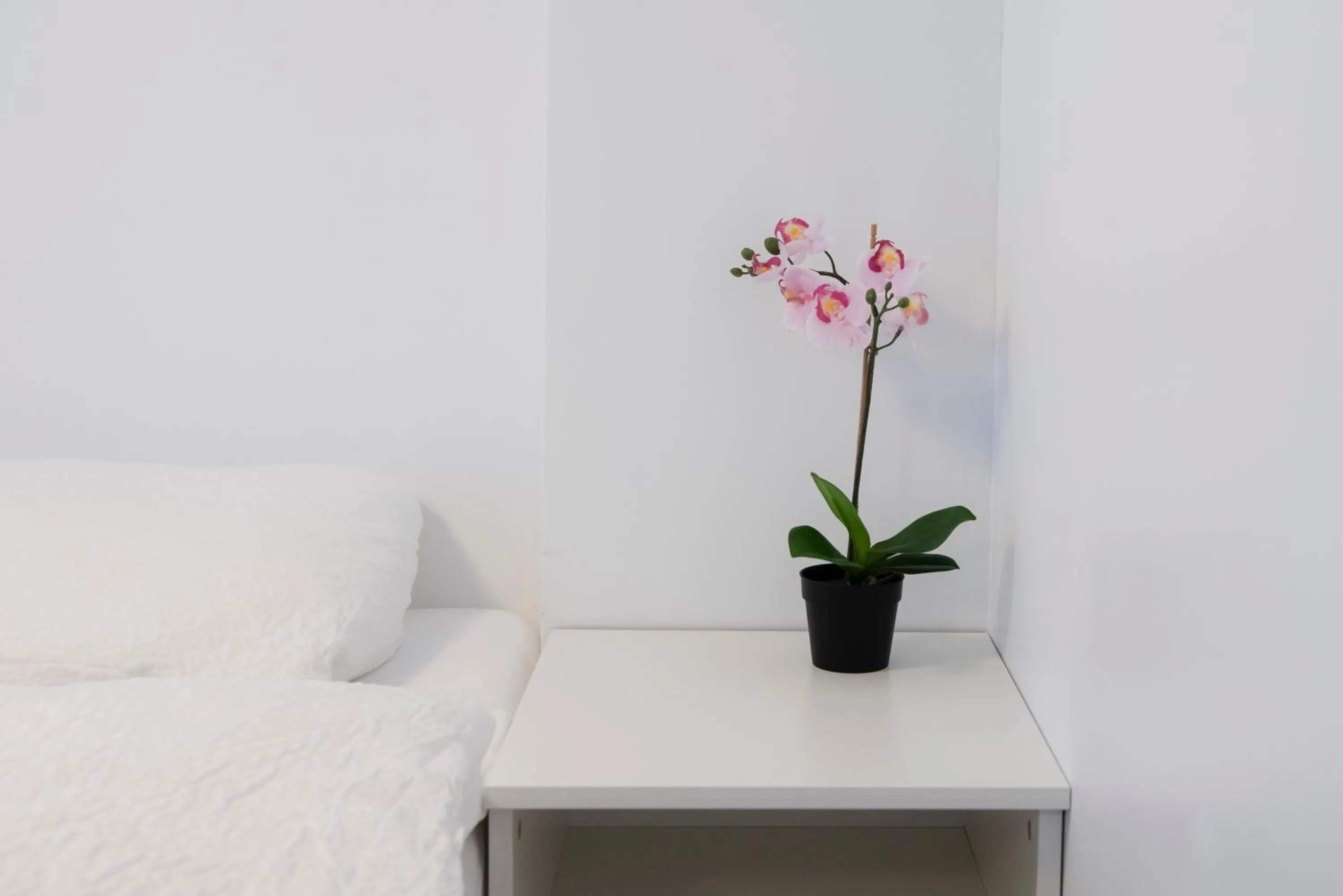 Decorative detail in Media Luna Guesthouse