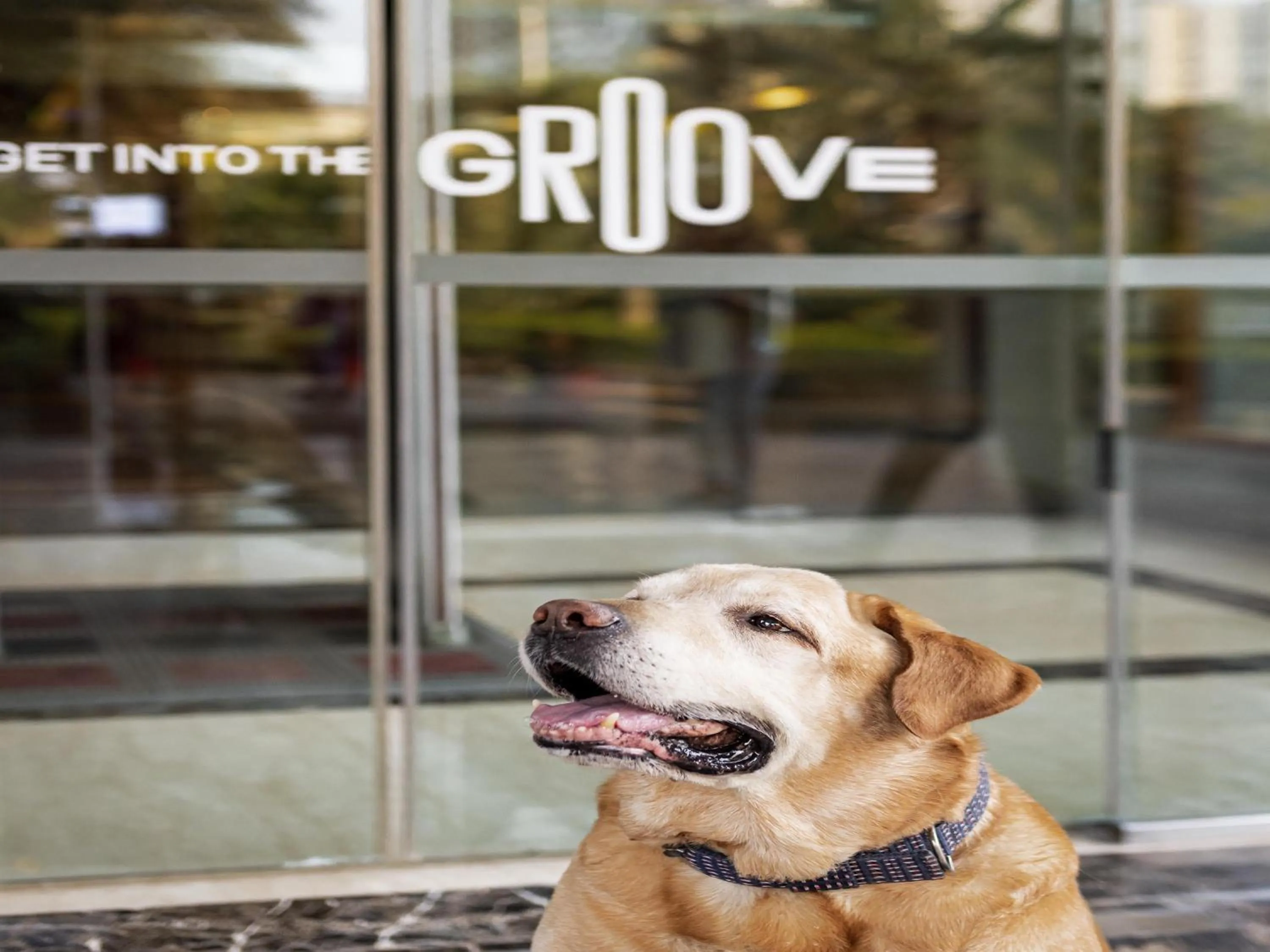 Other in ibis Pune Viman Nagar - An Accor Brand