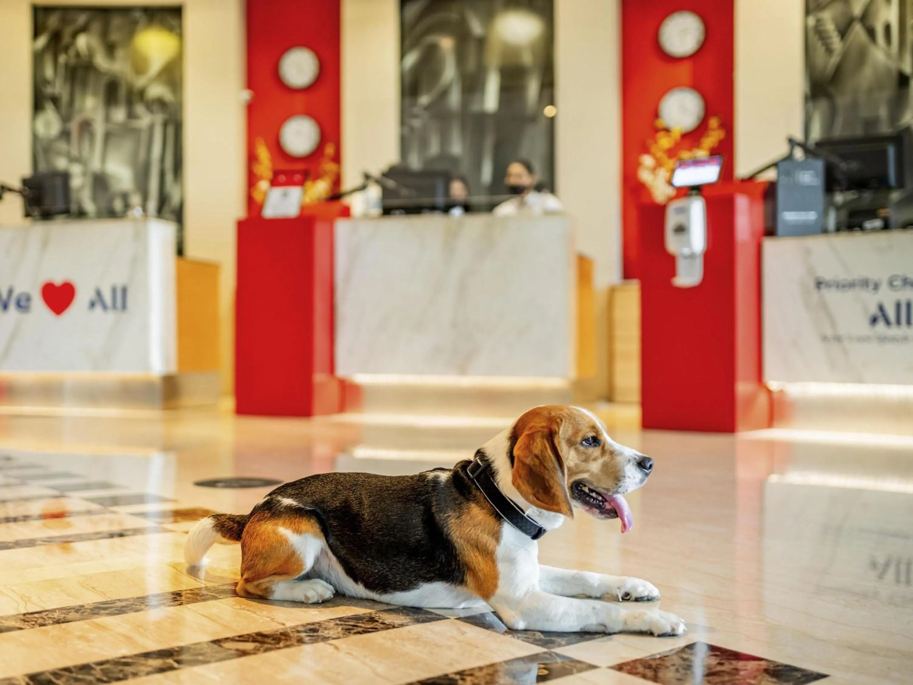 Other in ibis Pune Viman Nagar - An Accor Brand