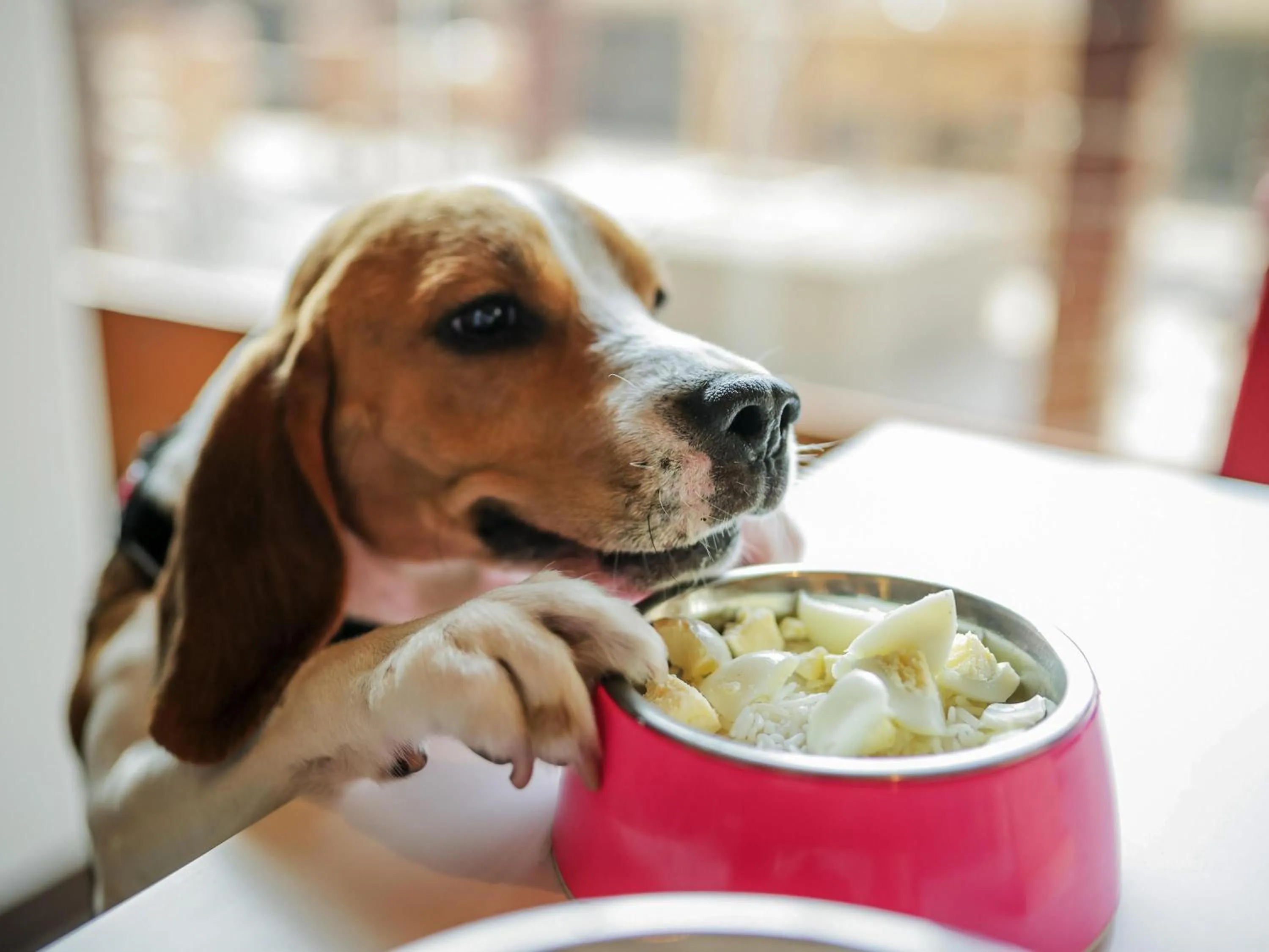 Other in ibis Pune Viman Nagar - An Accor Brand