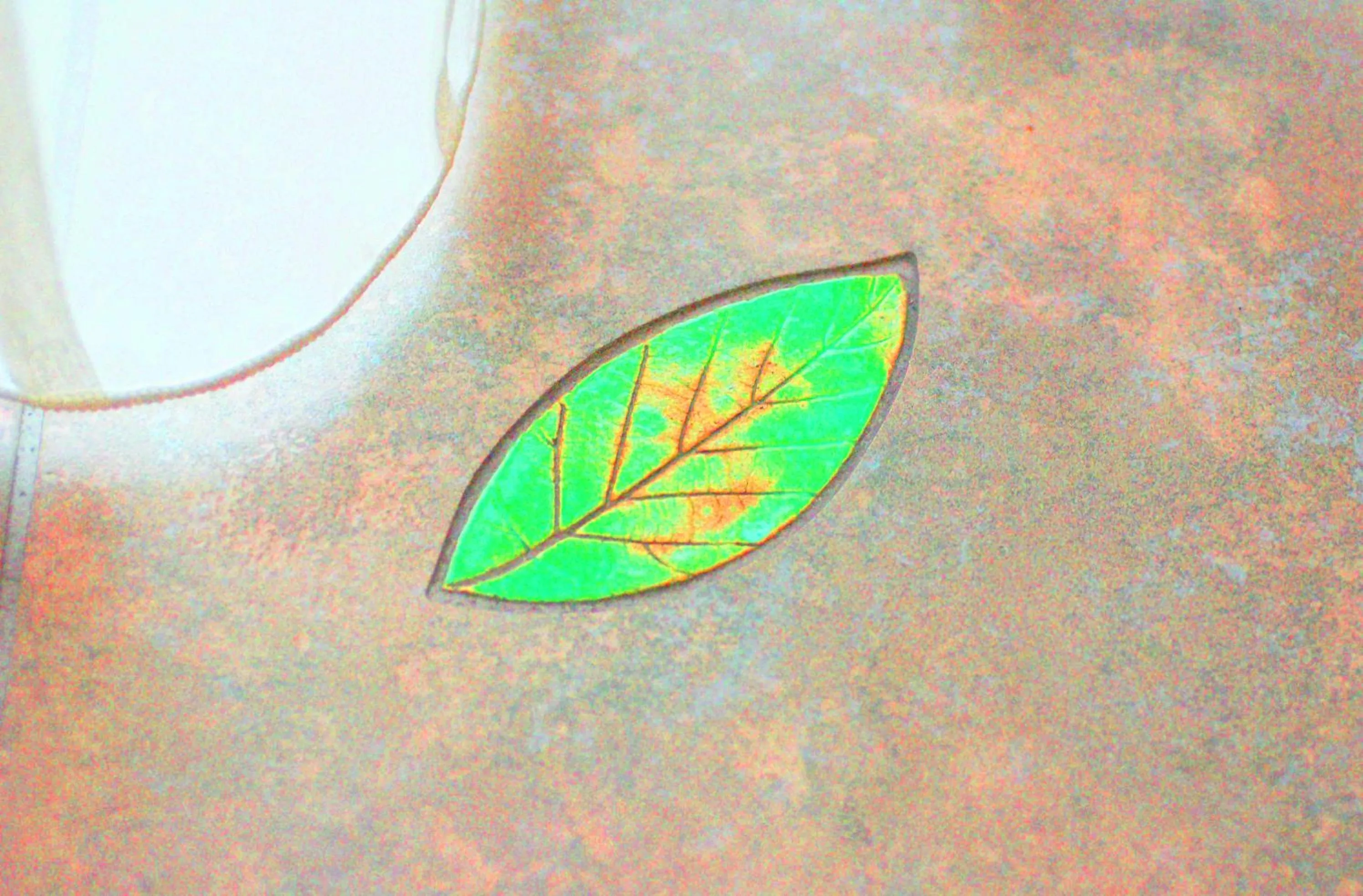 Decorative detail in Hotel SET