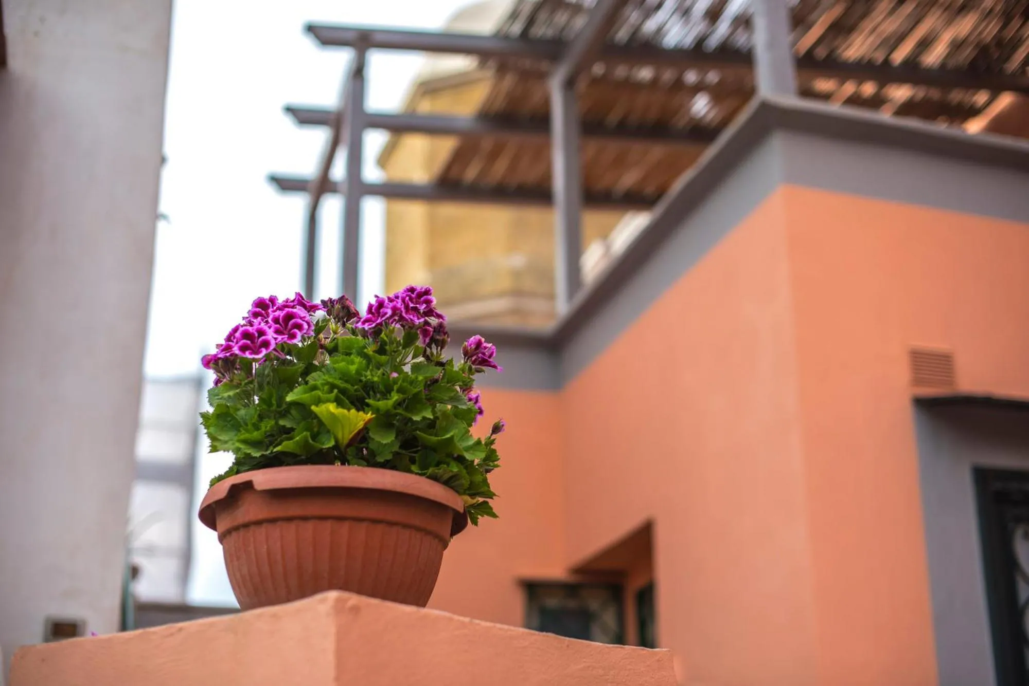 Garden in Il Borghetto Apartments & Rooms