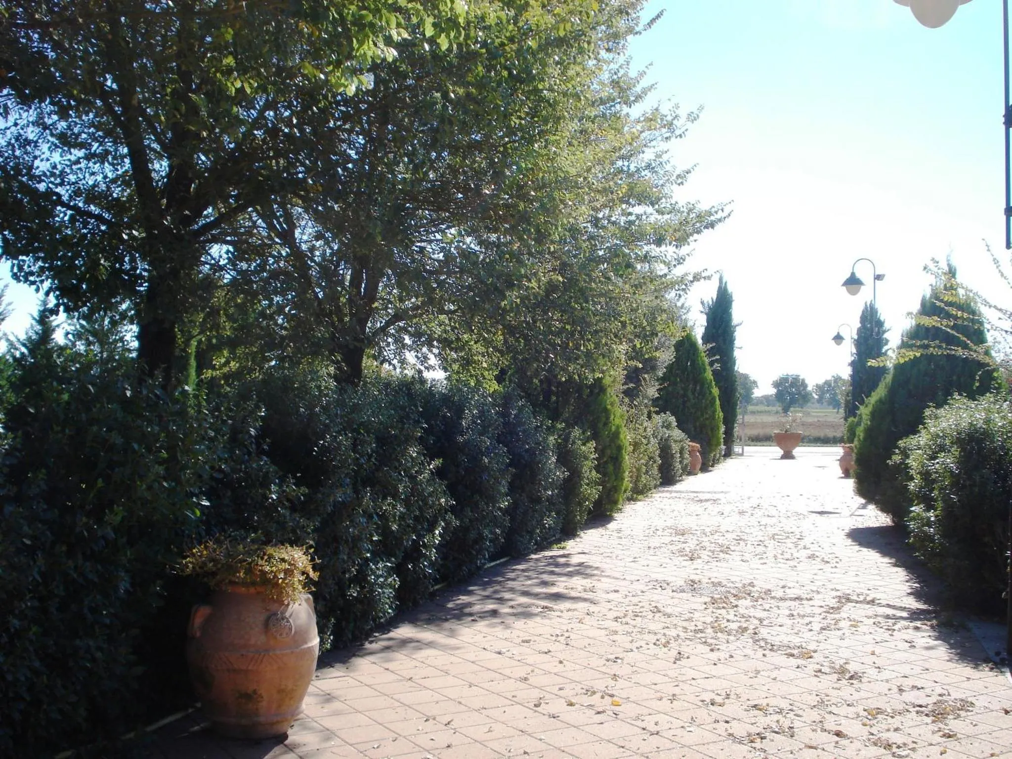 Other in Residence Serristori