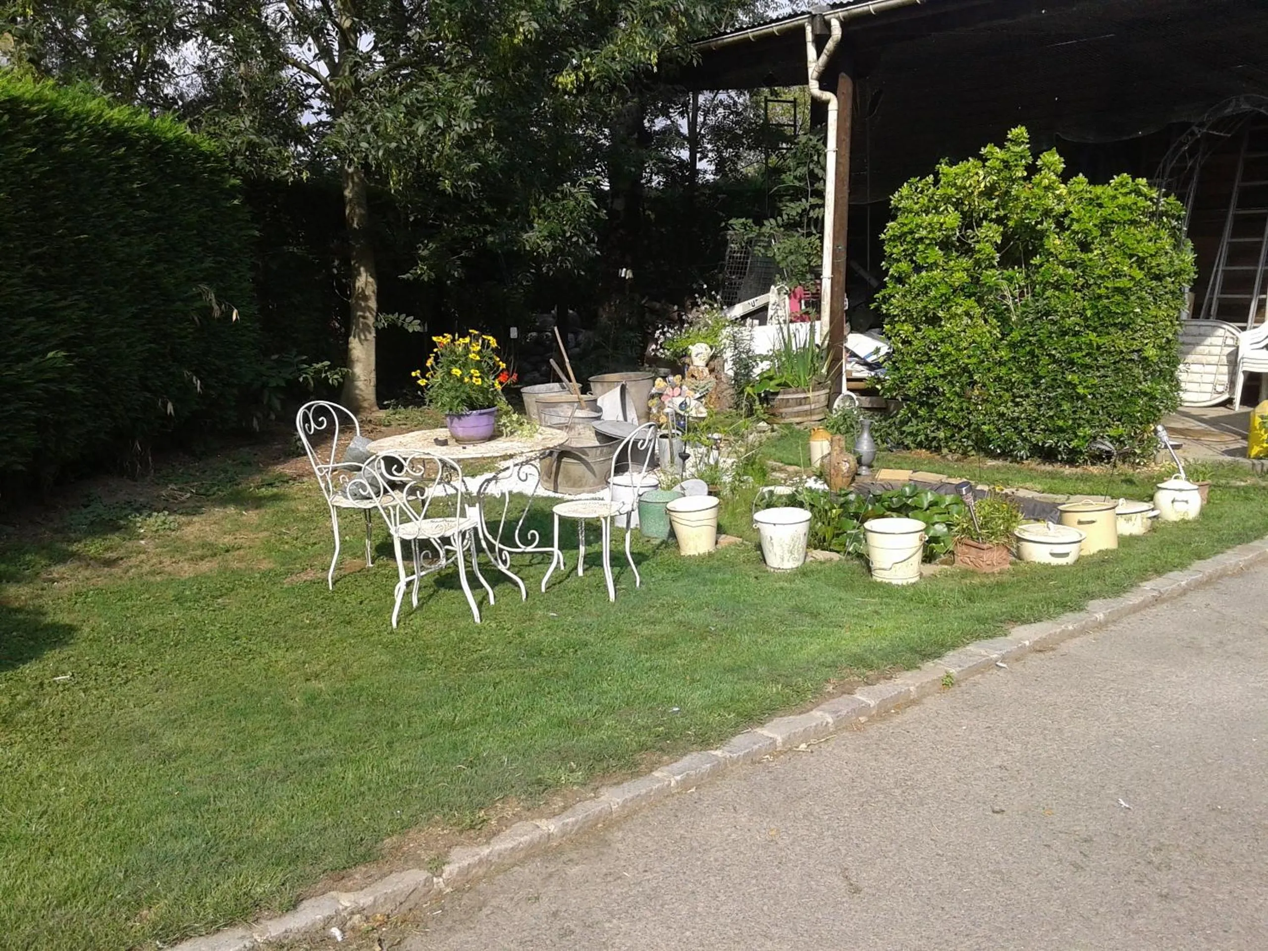 Summer in Chambre d'hôtes Élevage' chemin noir