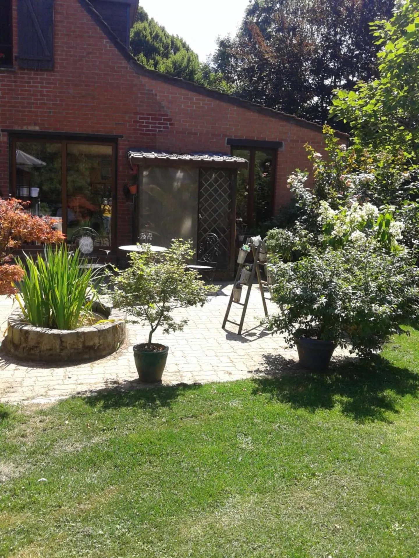 Summer in Chambre d'hôtes Élevage' chemin noir