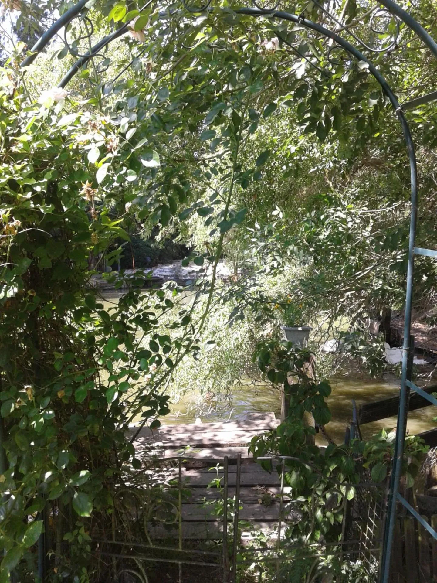 Summer in Chambre d'hôtes Élevage' chemin noir