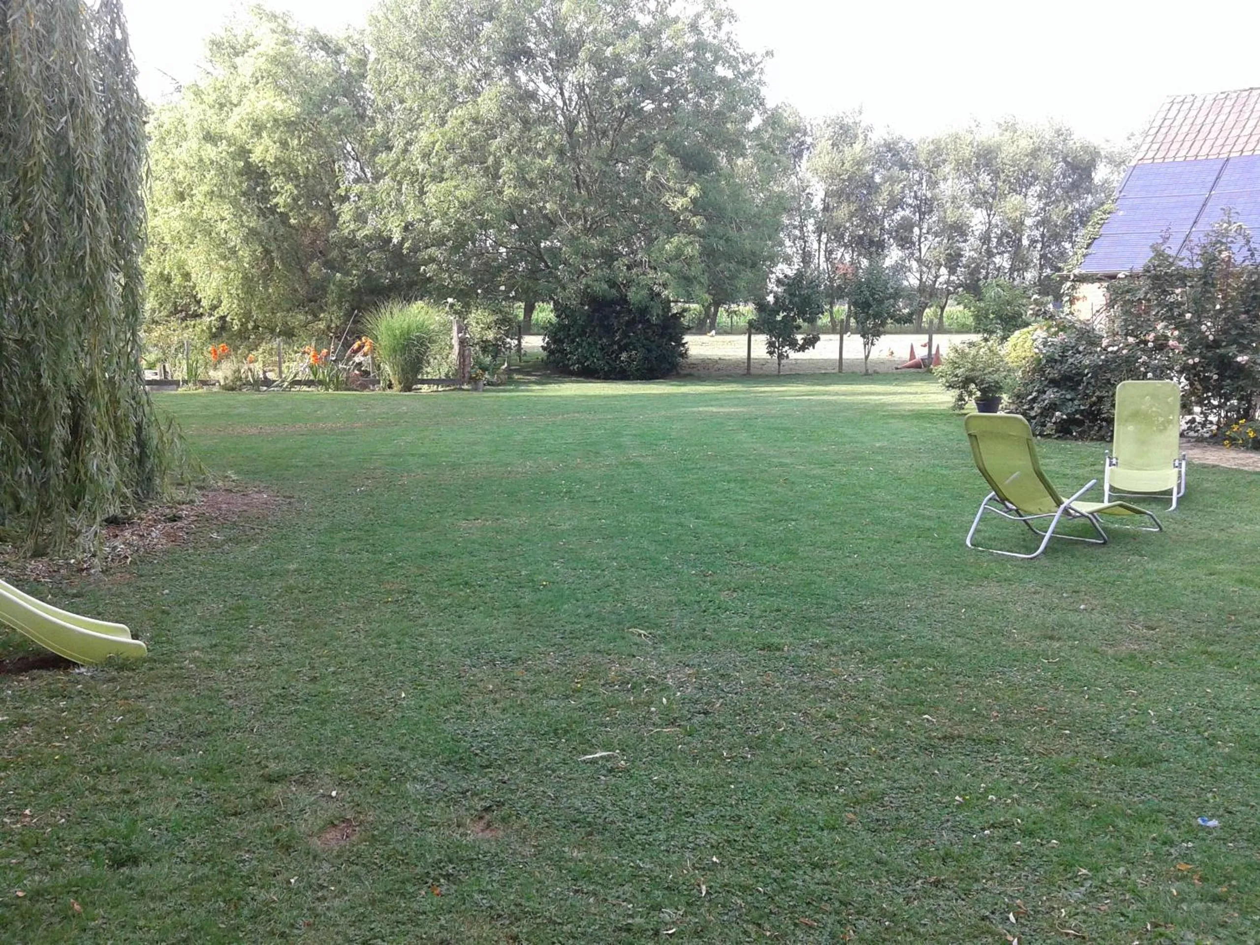 Summer in Chambre d'hôtes Élevage' chemin noir