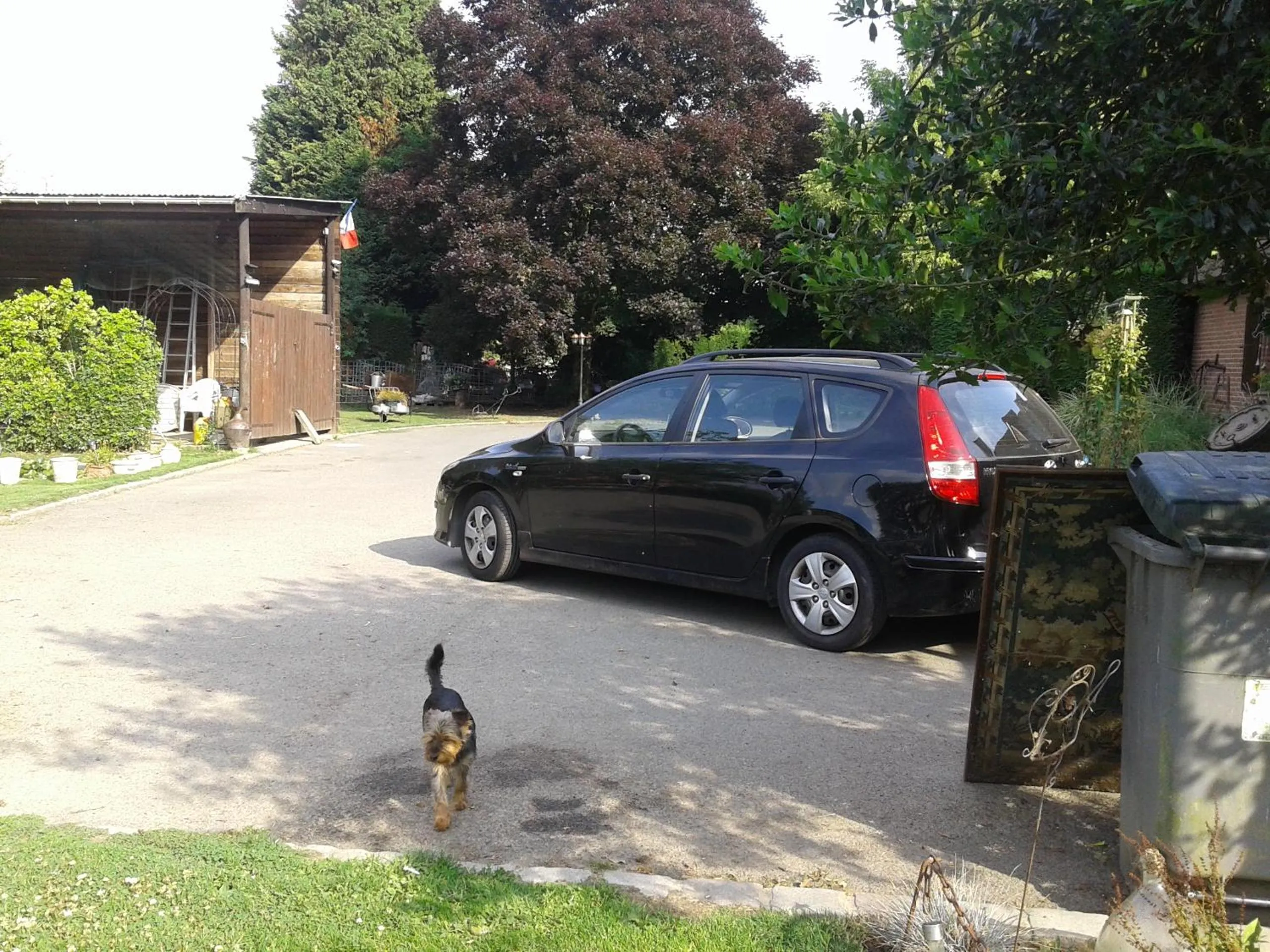 Summer in Chambre d'hôtes Élevage' chemin noir