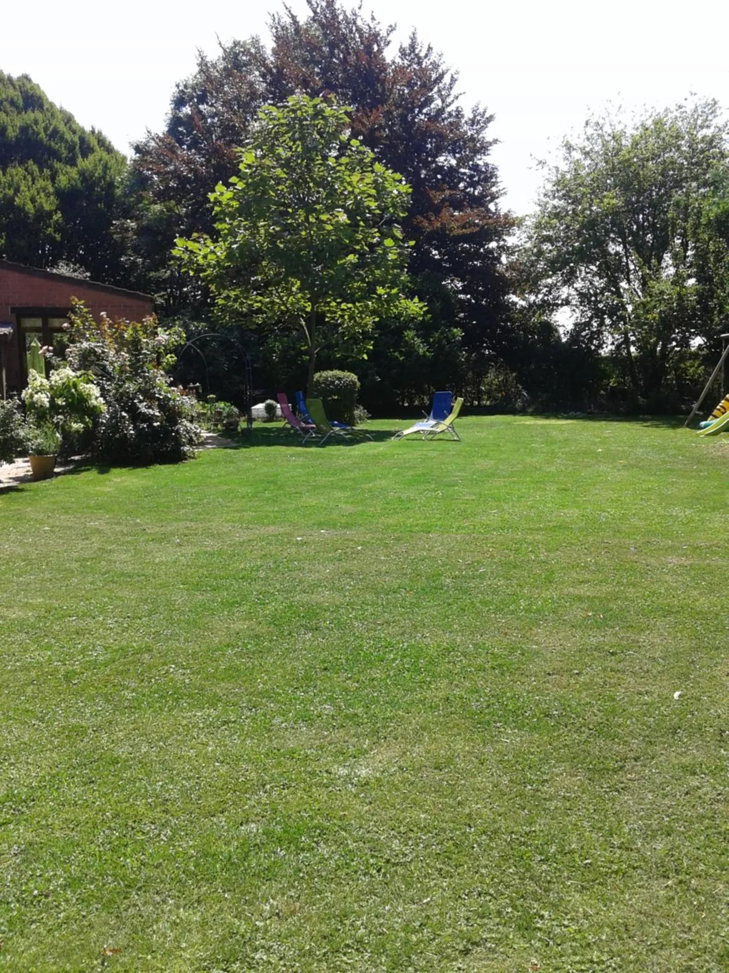 Summer in Chambre d'hôtes Élevage' chemin noir