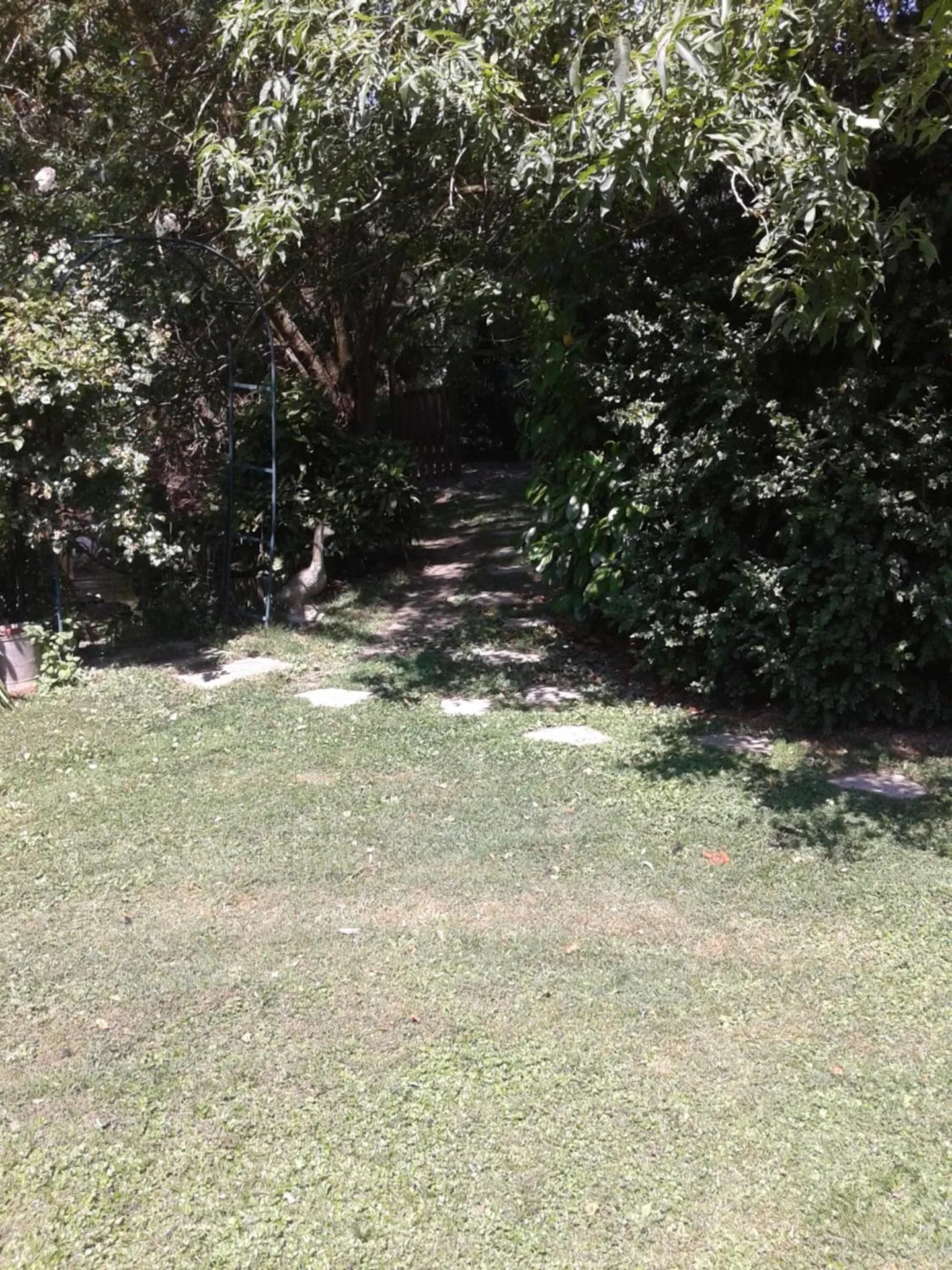 Summer in Chambre d'hôtes Élevage' chemin noir