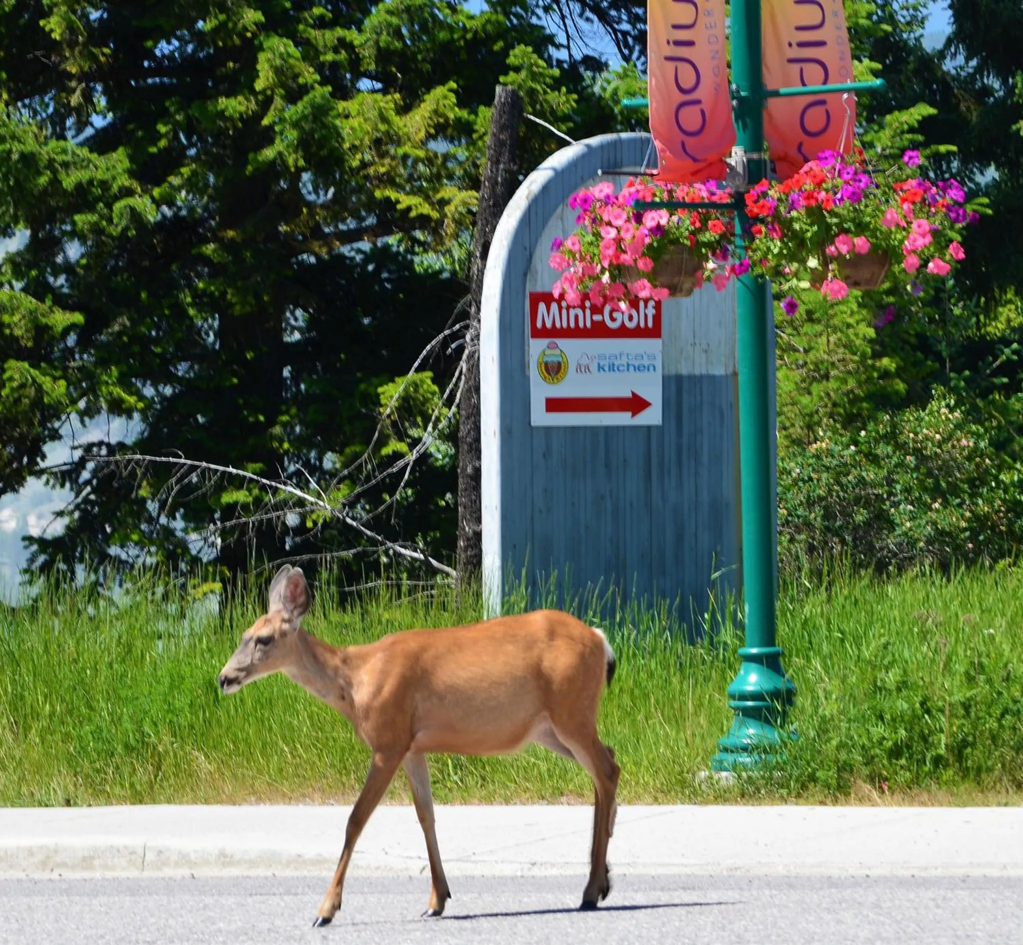 Minigolf in Mountain View Radium Condo - Copper Horn Village