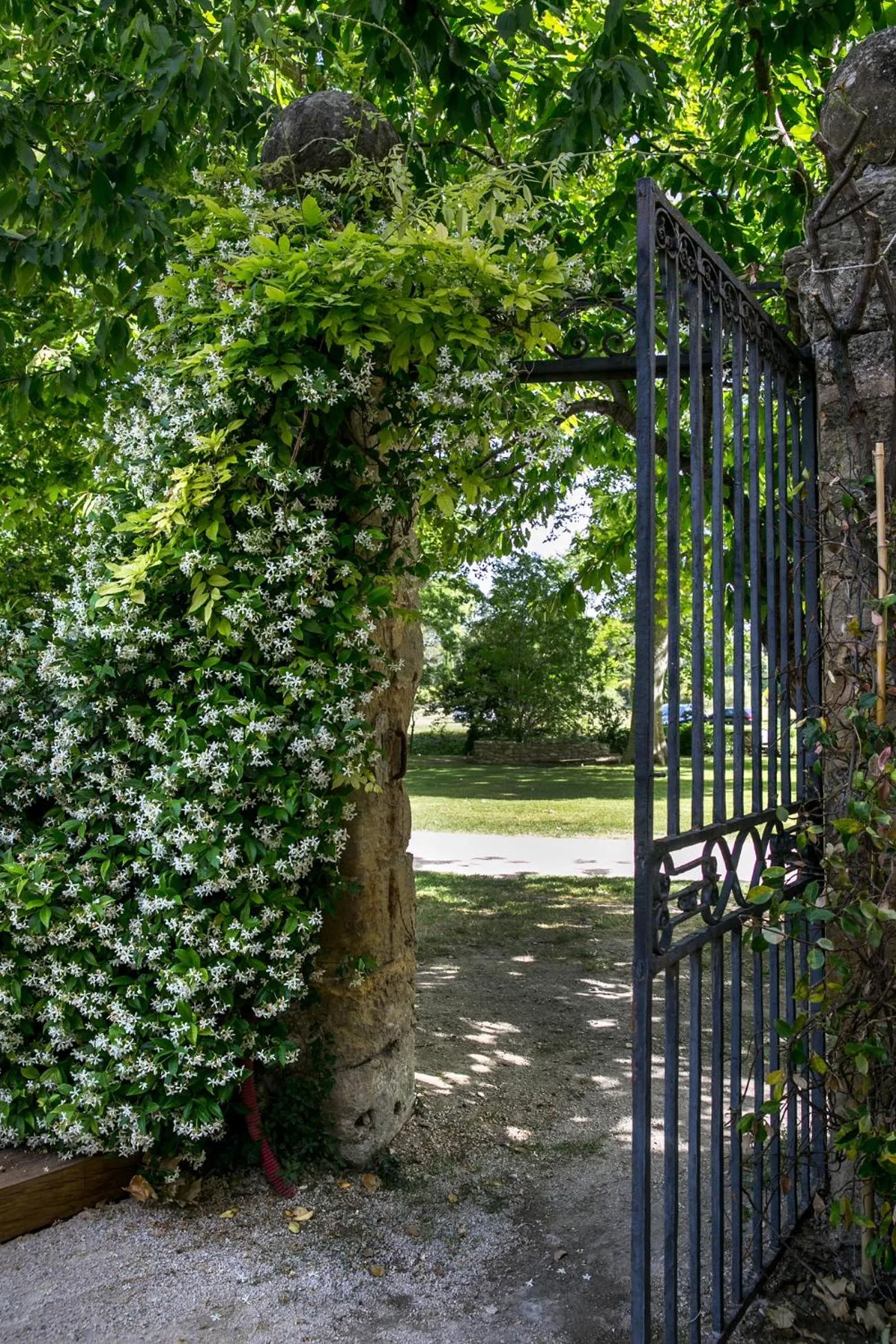 Garden in Château De Massillan