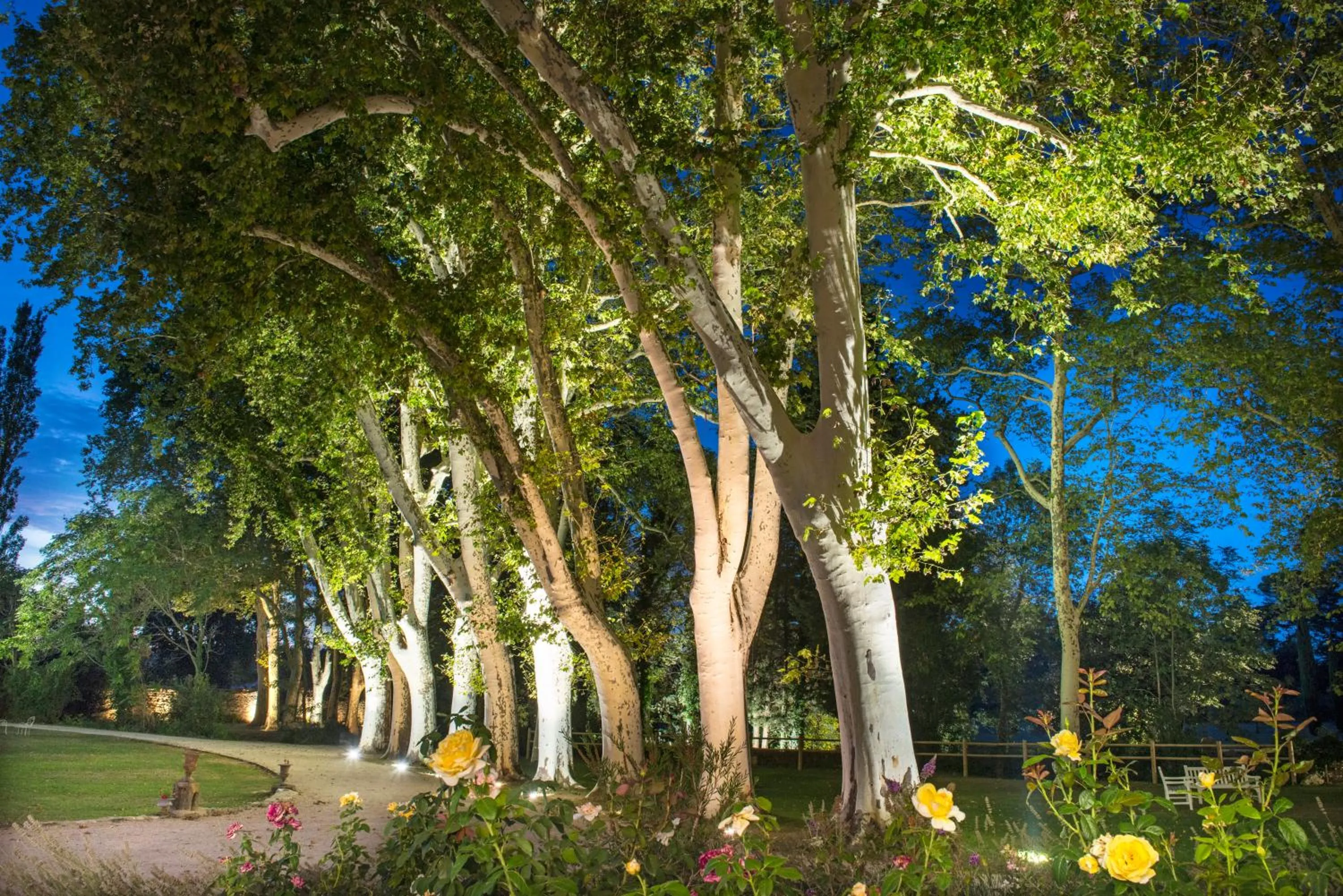 Garden in Château De Massillan