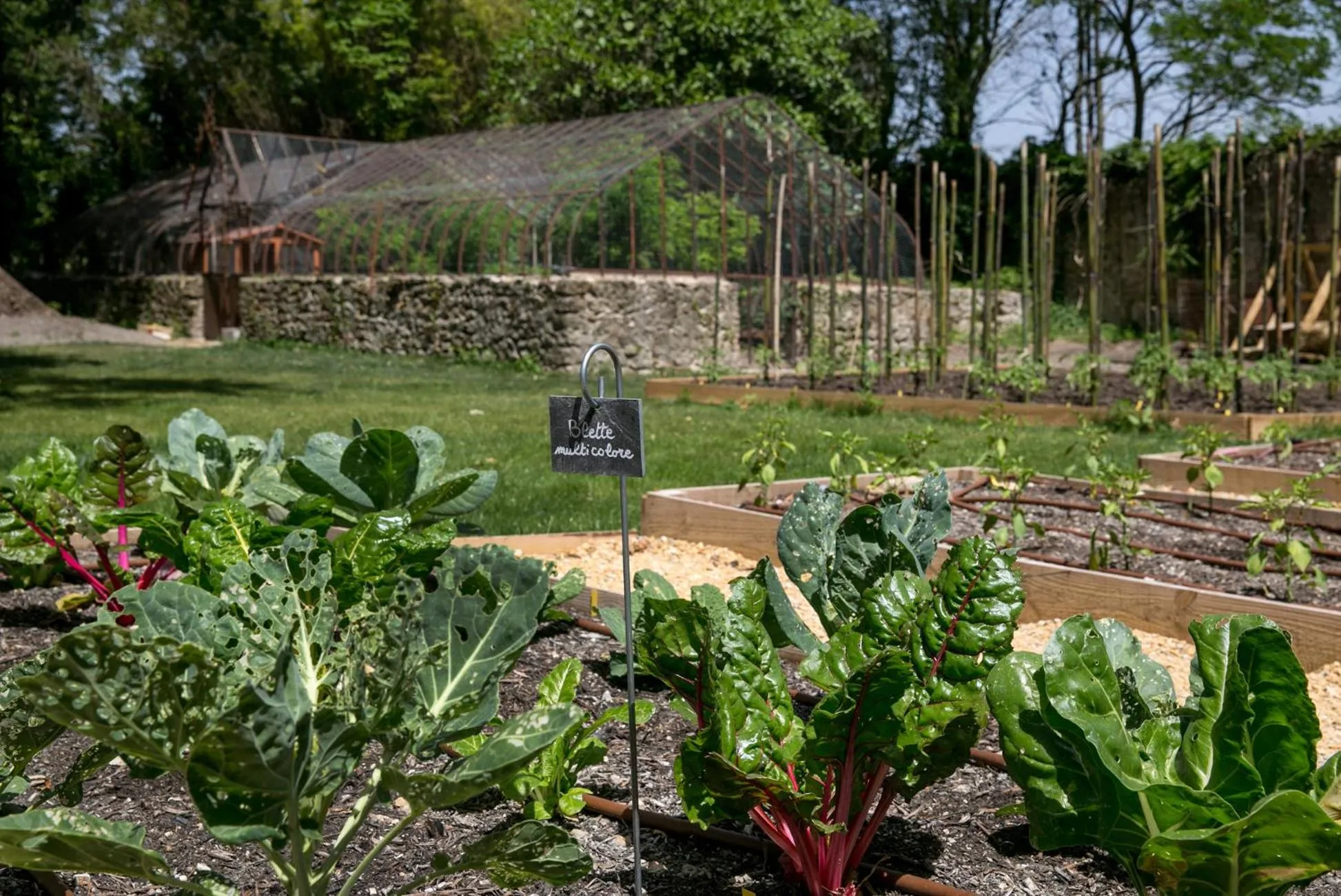Garden in Château De Massillan