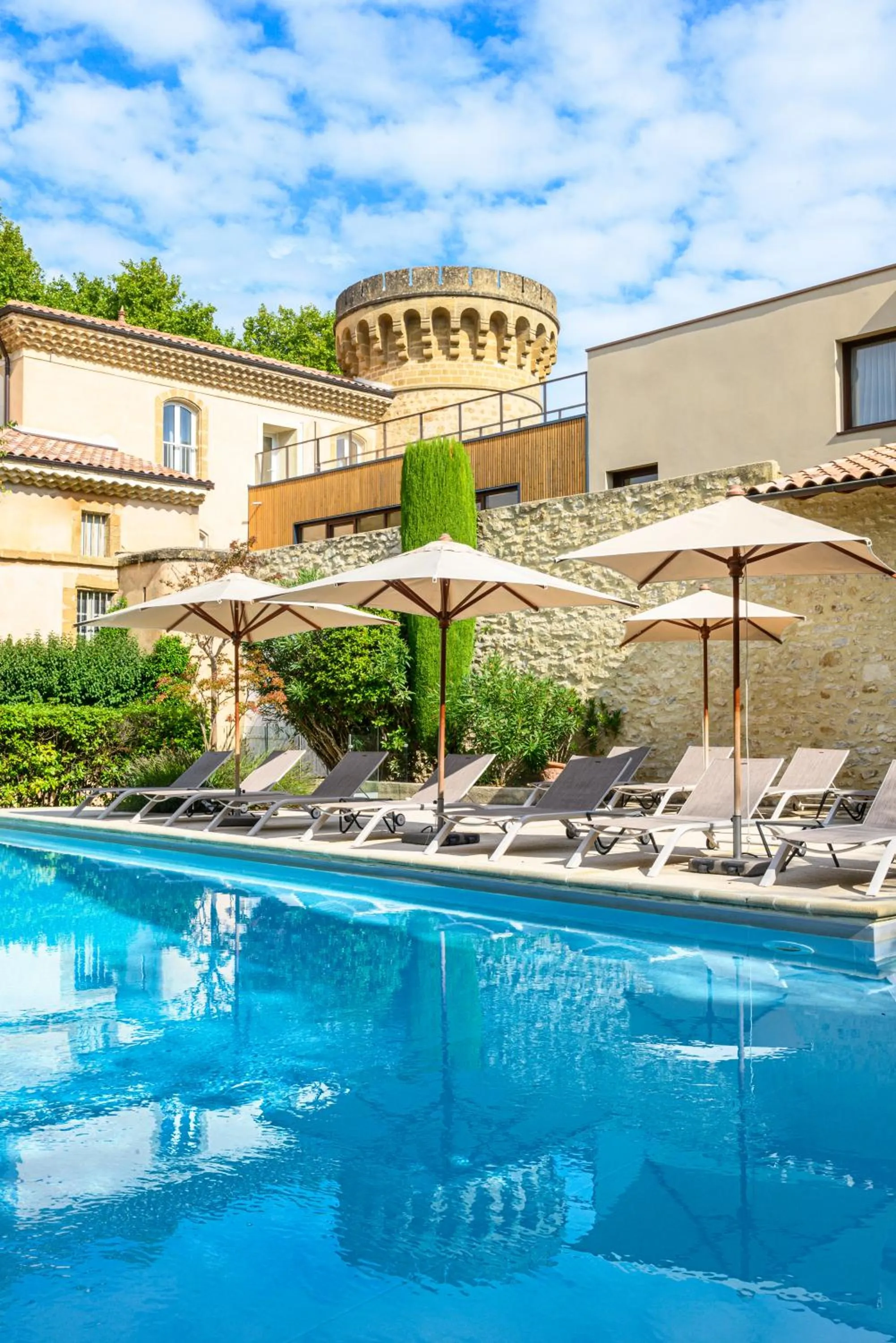 Swimming pool in Château De Massillan