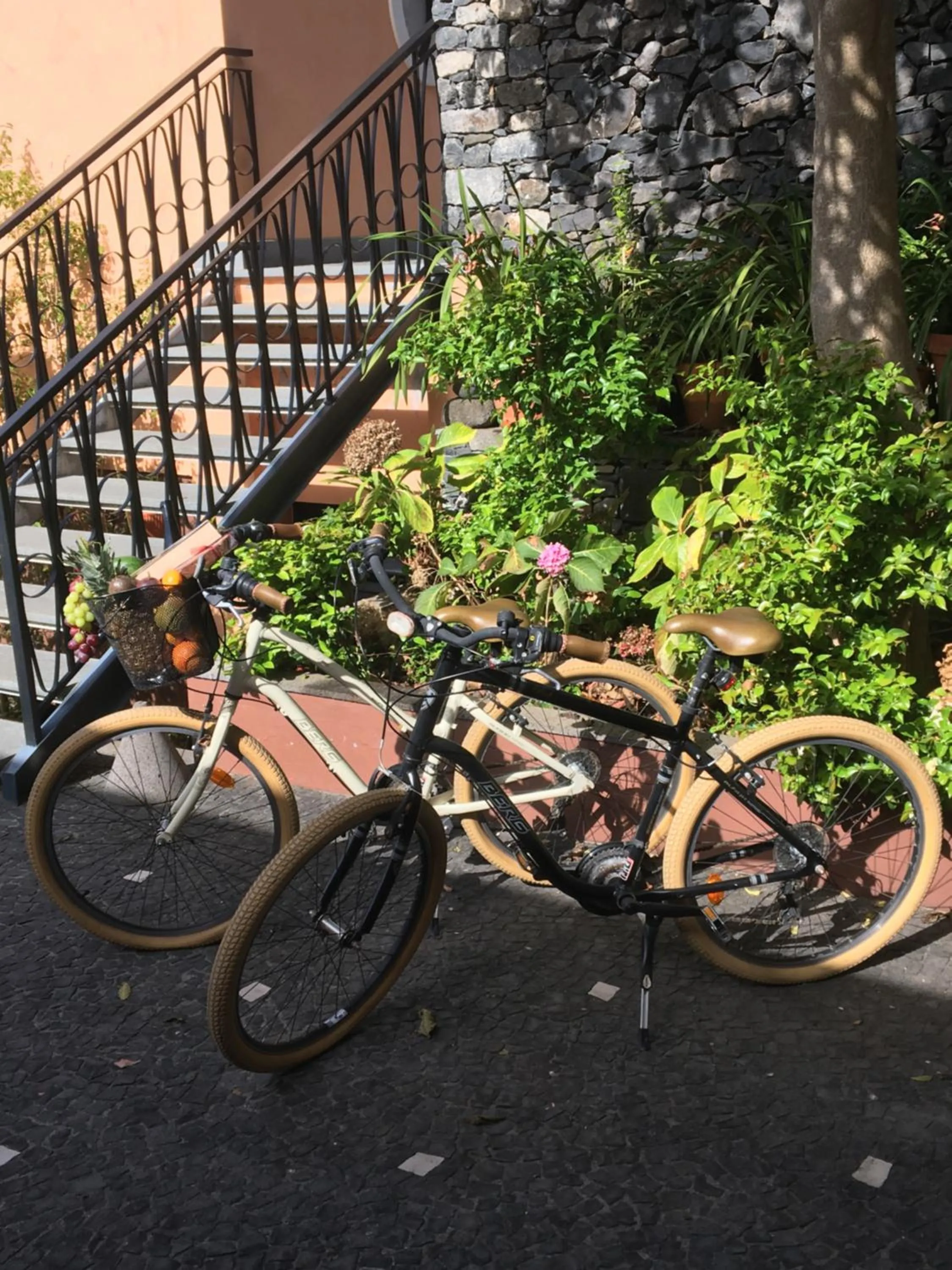 Cycling in Quinta Paços do Lago