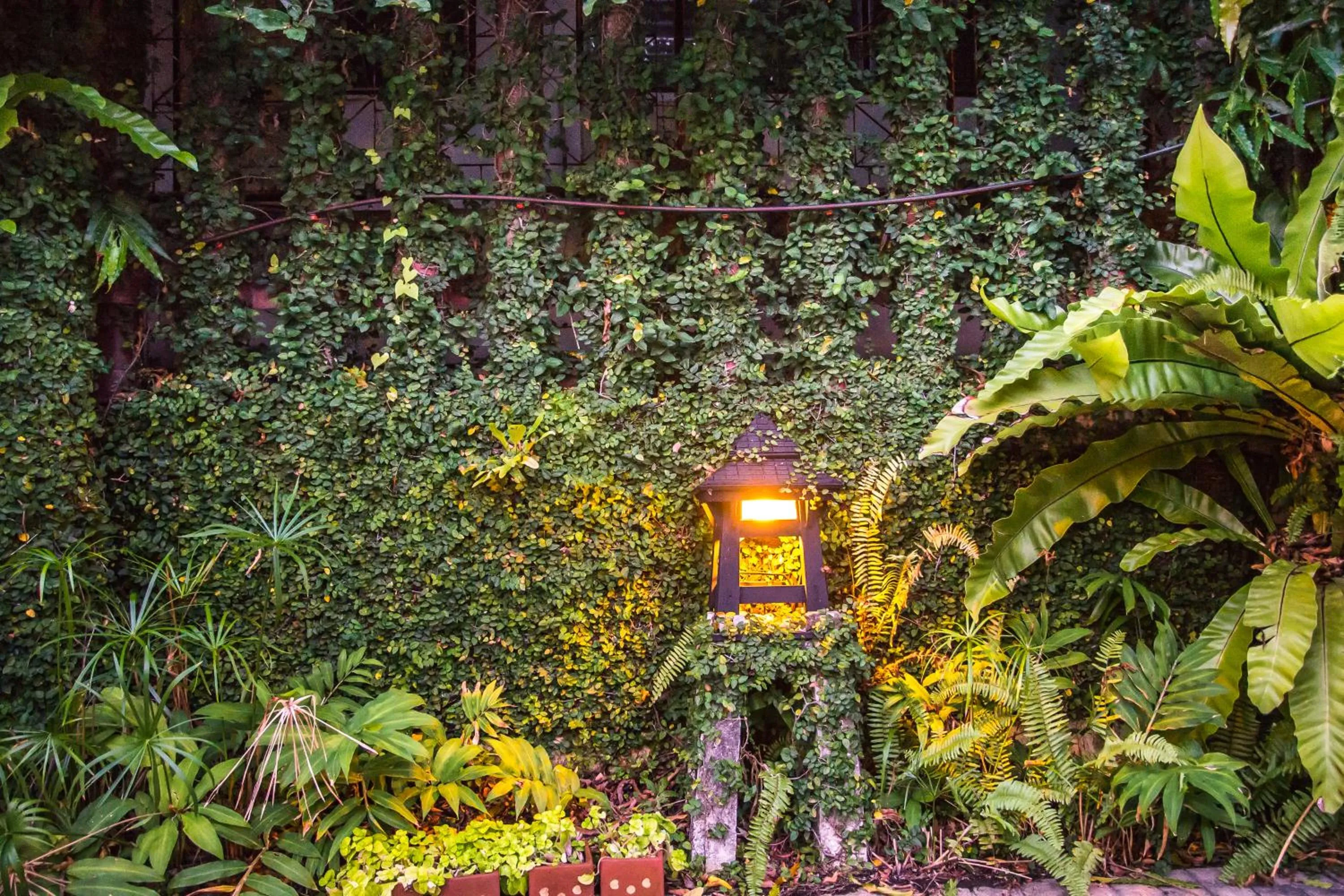 Garden in Lantana Pattaya - SHA Extra Plus