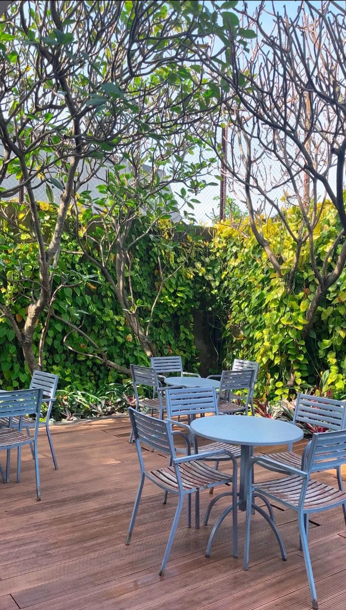 Swimming pool in Novotel Bandung