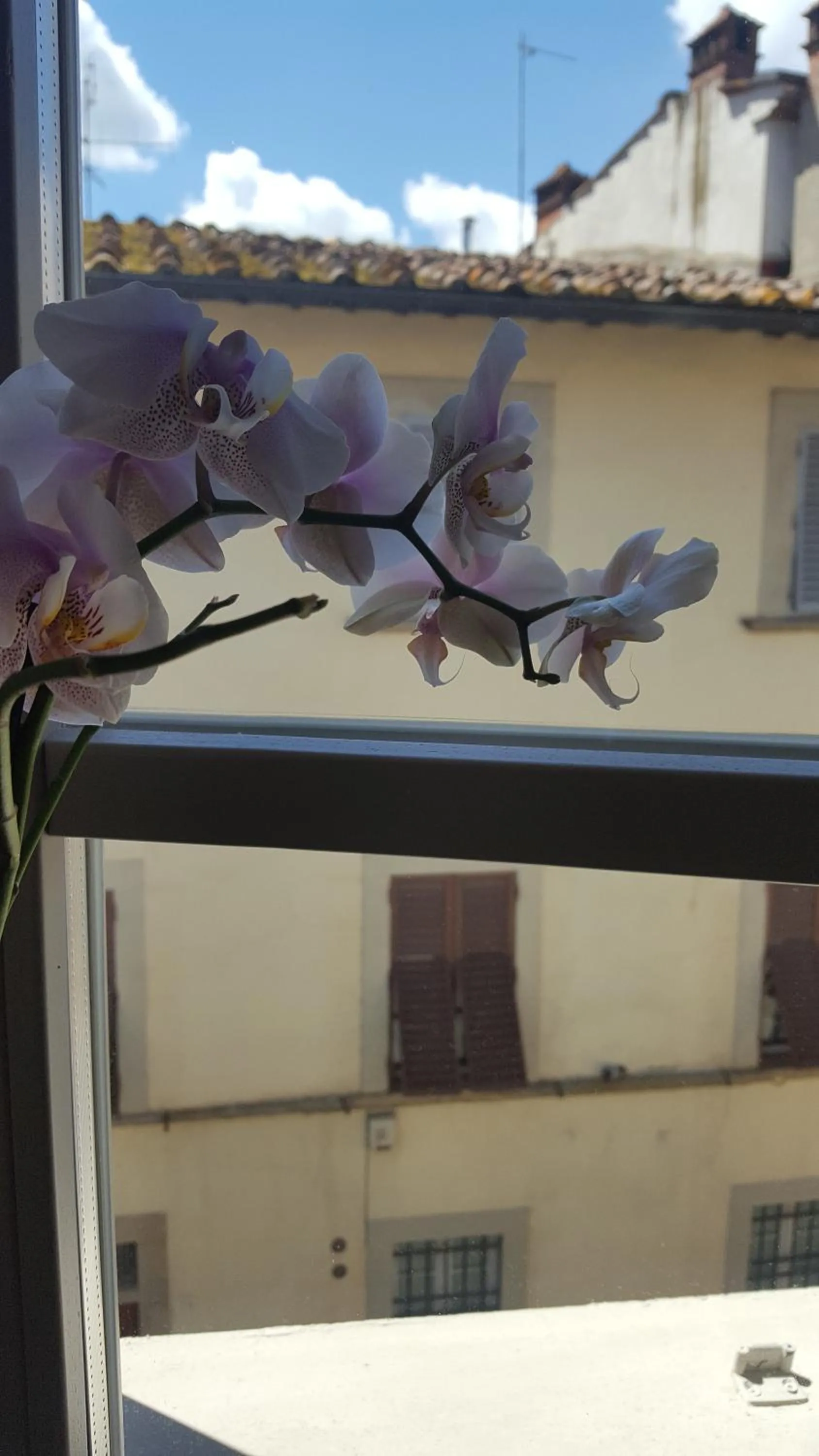 City view in Sweet Tuscany
