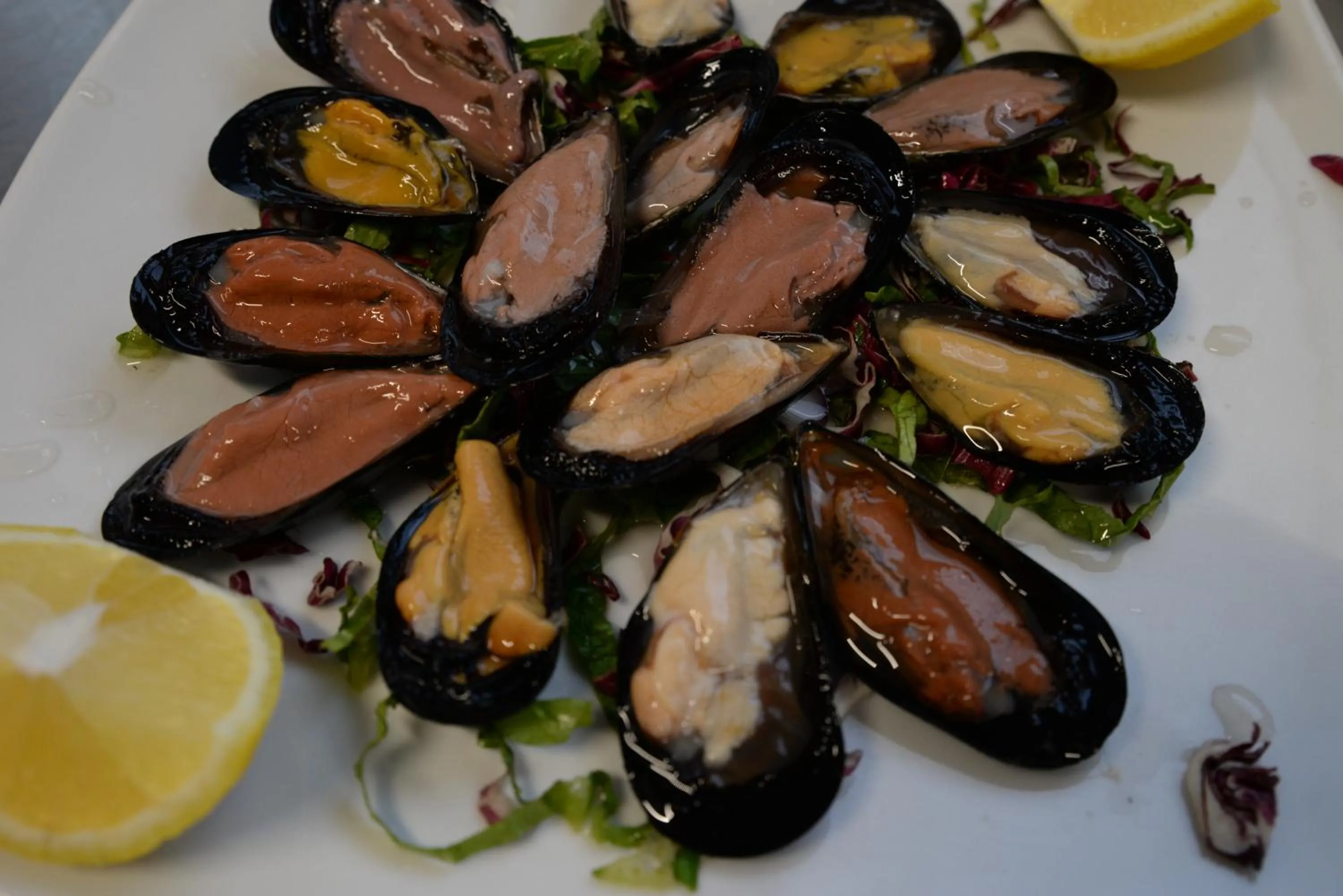 Restaurant/places to eat in Hotel Ristorante Termitito