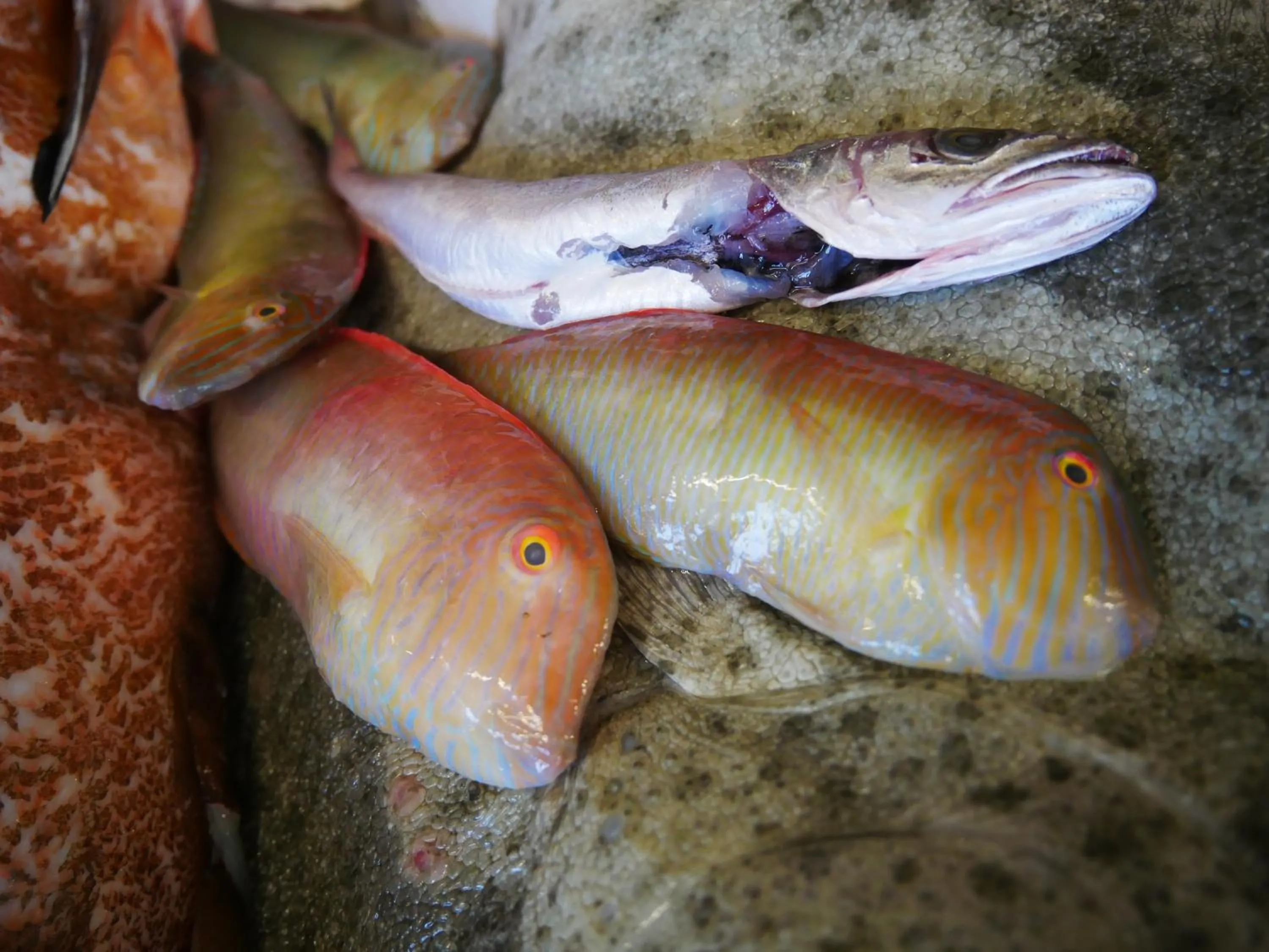 Hotel Ristorante Termitito