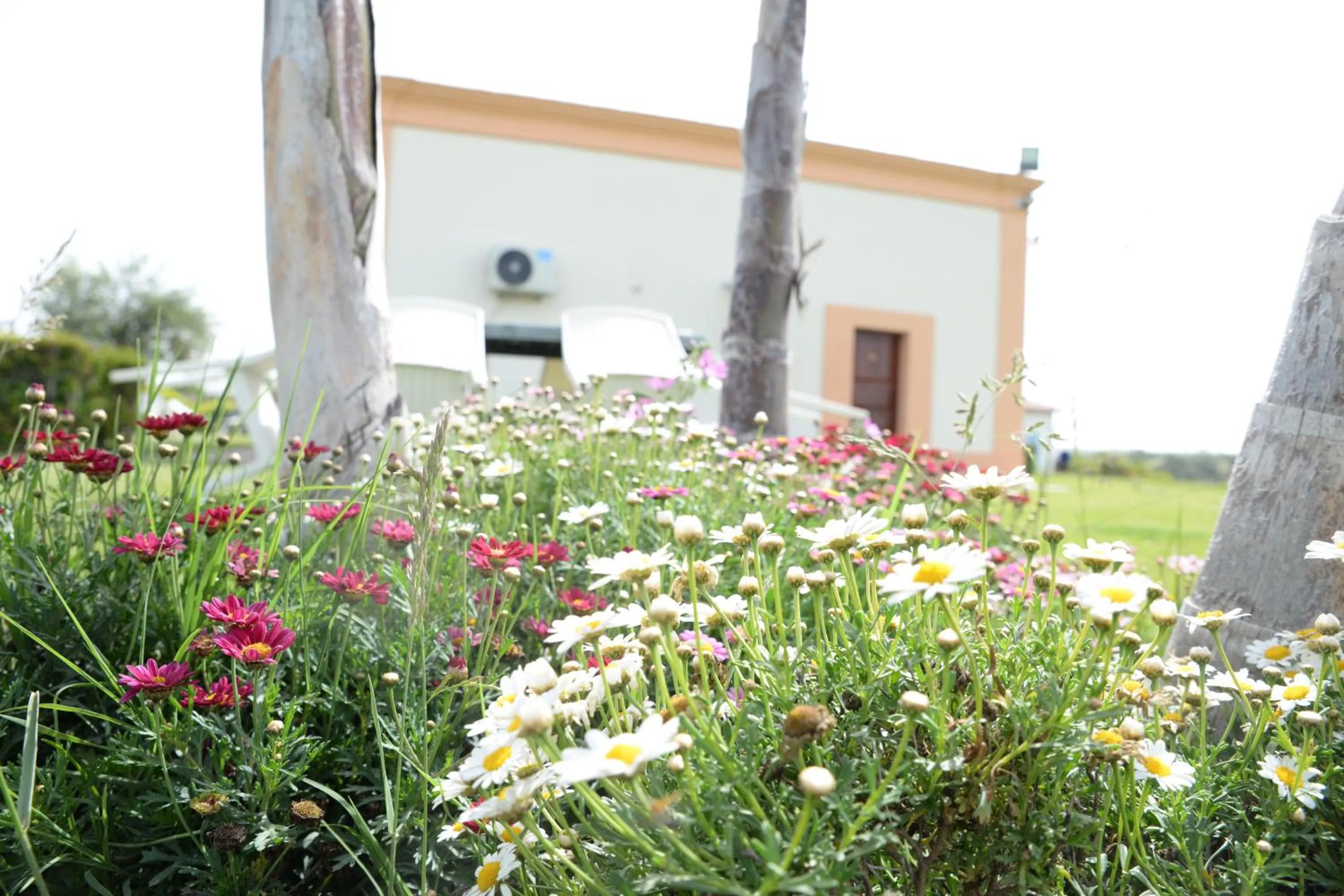 Garden in Hotel Ristorante Termitito