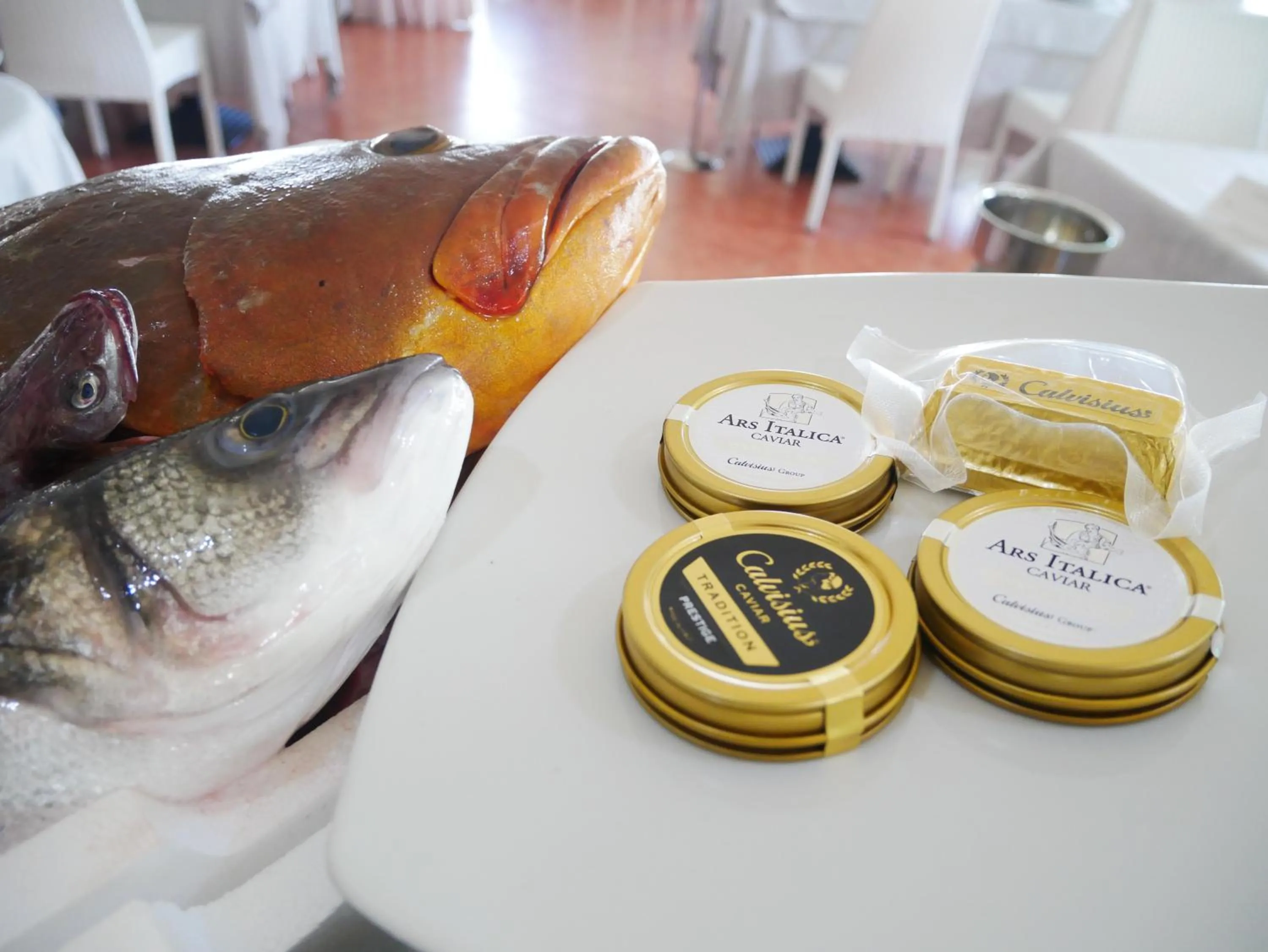 Restaurant/places to eat in Hotel Ristorante Termitito