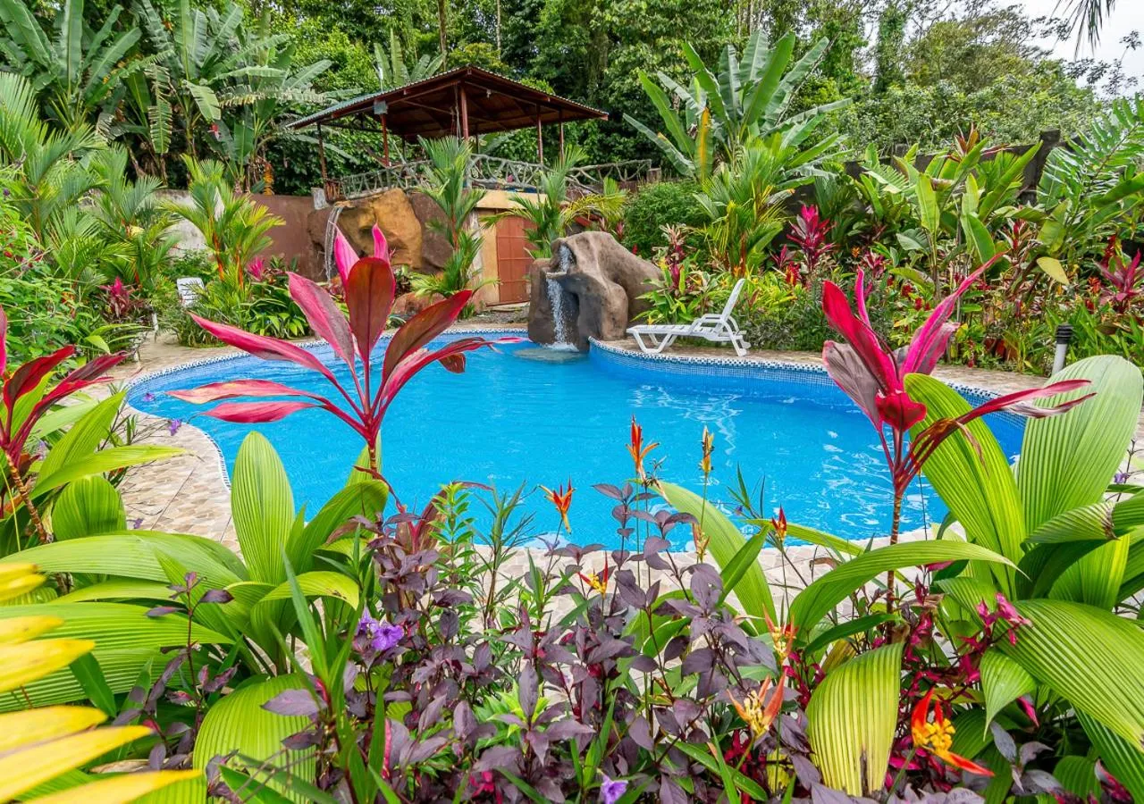 Swimming pool in Aunty Arenal Lodge