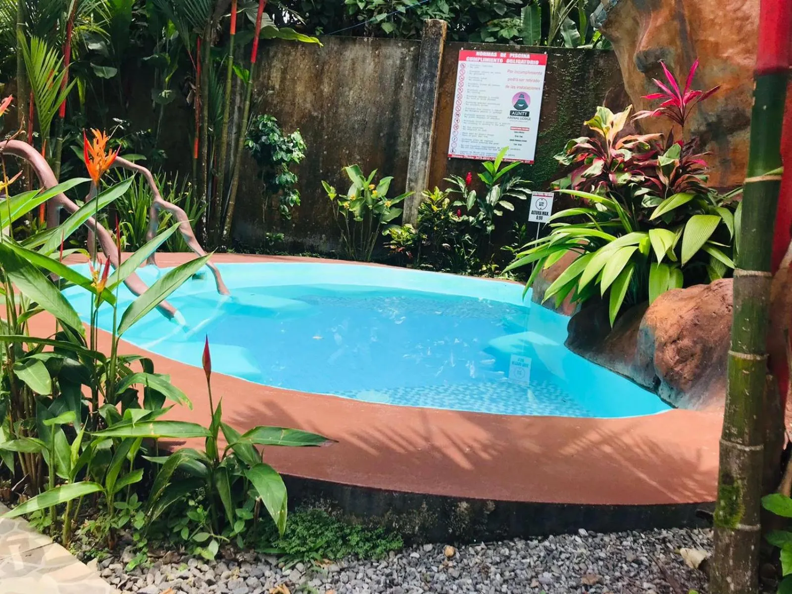 Swimming pool in Aunty Arenal Lodge