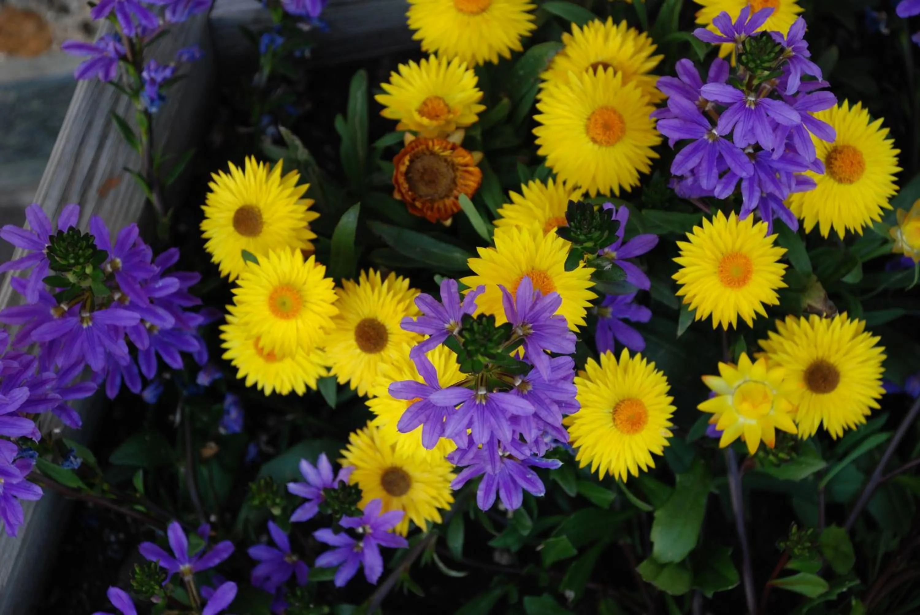 Garden in Hotel Zum Granitzl