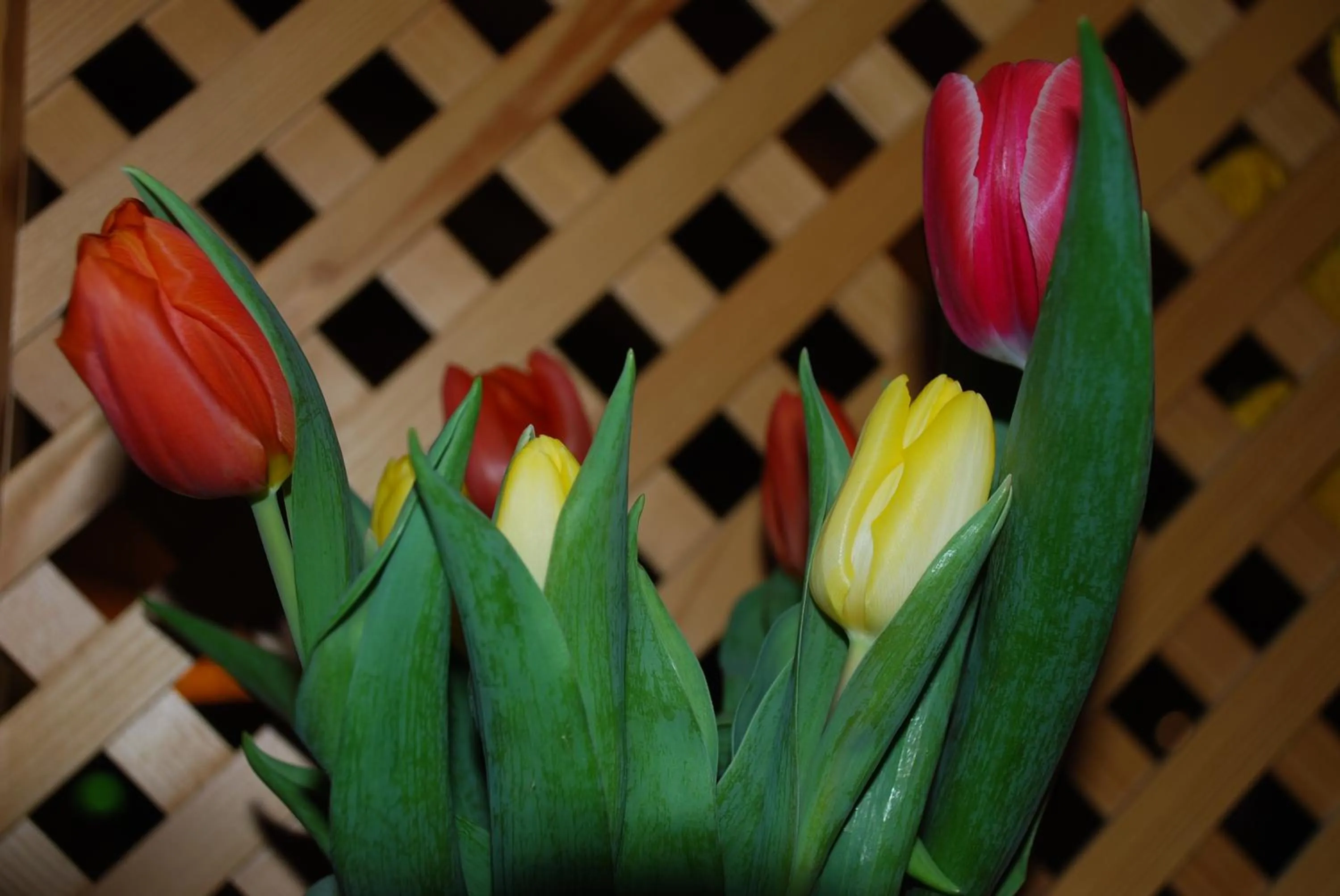 Decorative detail in Hotel Zum Granitzl