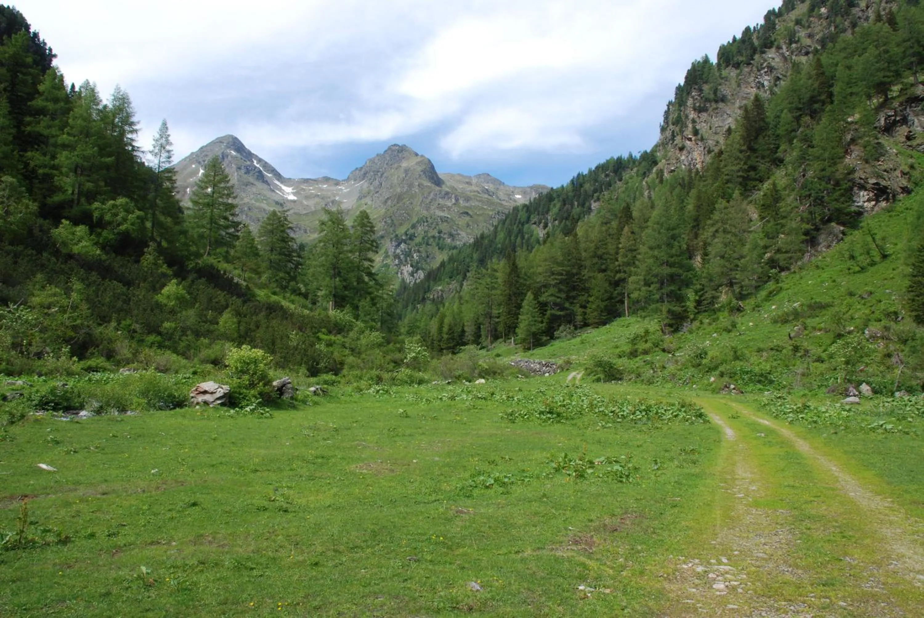 Natural landscape in Hotel Zum Granitzl