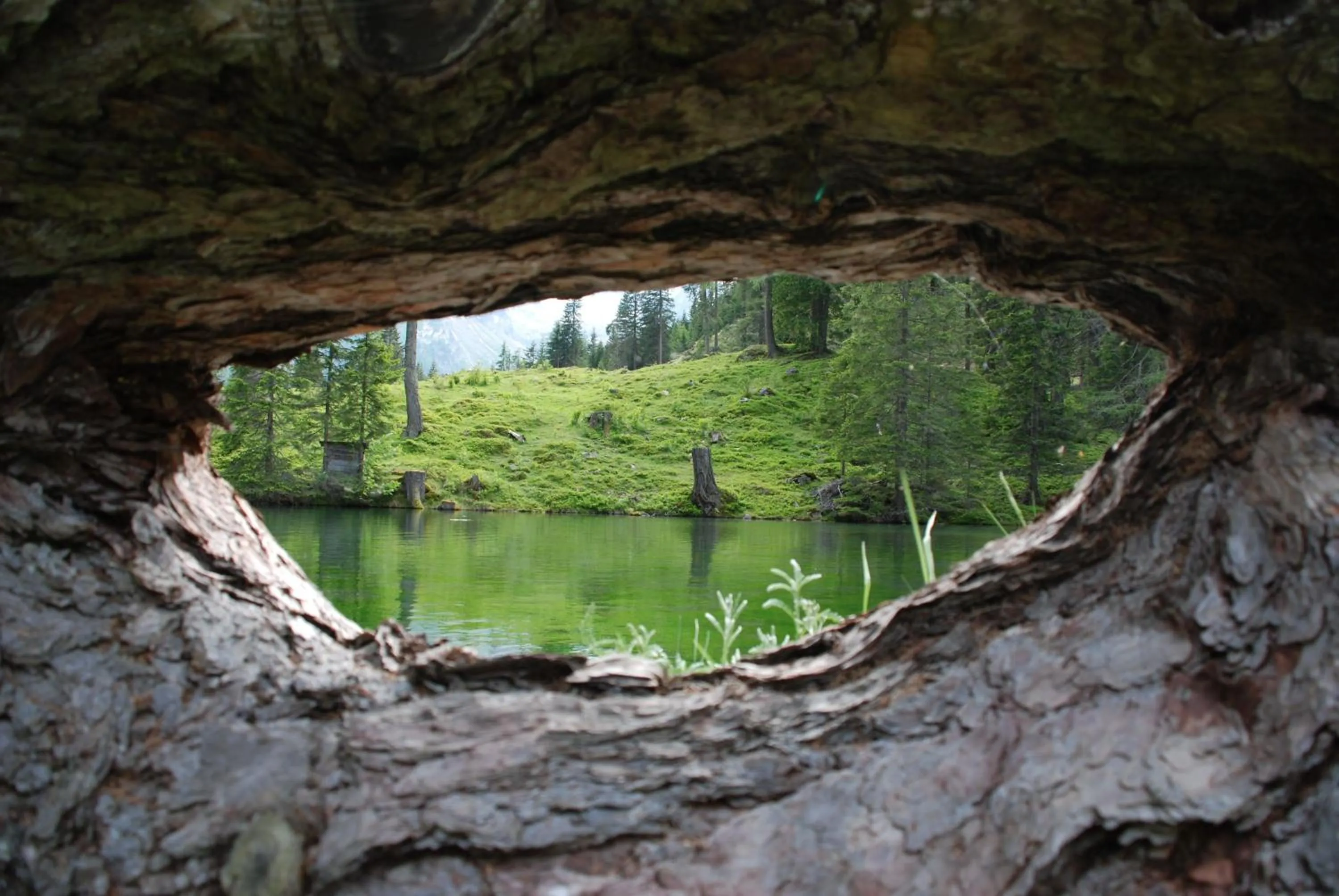 Area and facilities in Hotel Zum Granitzl