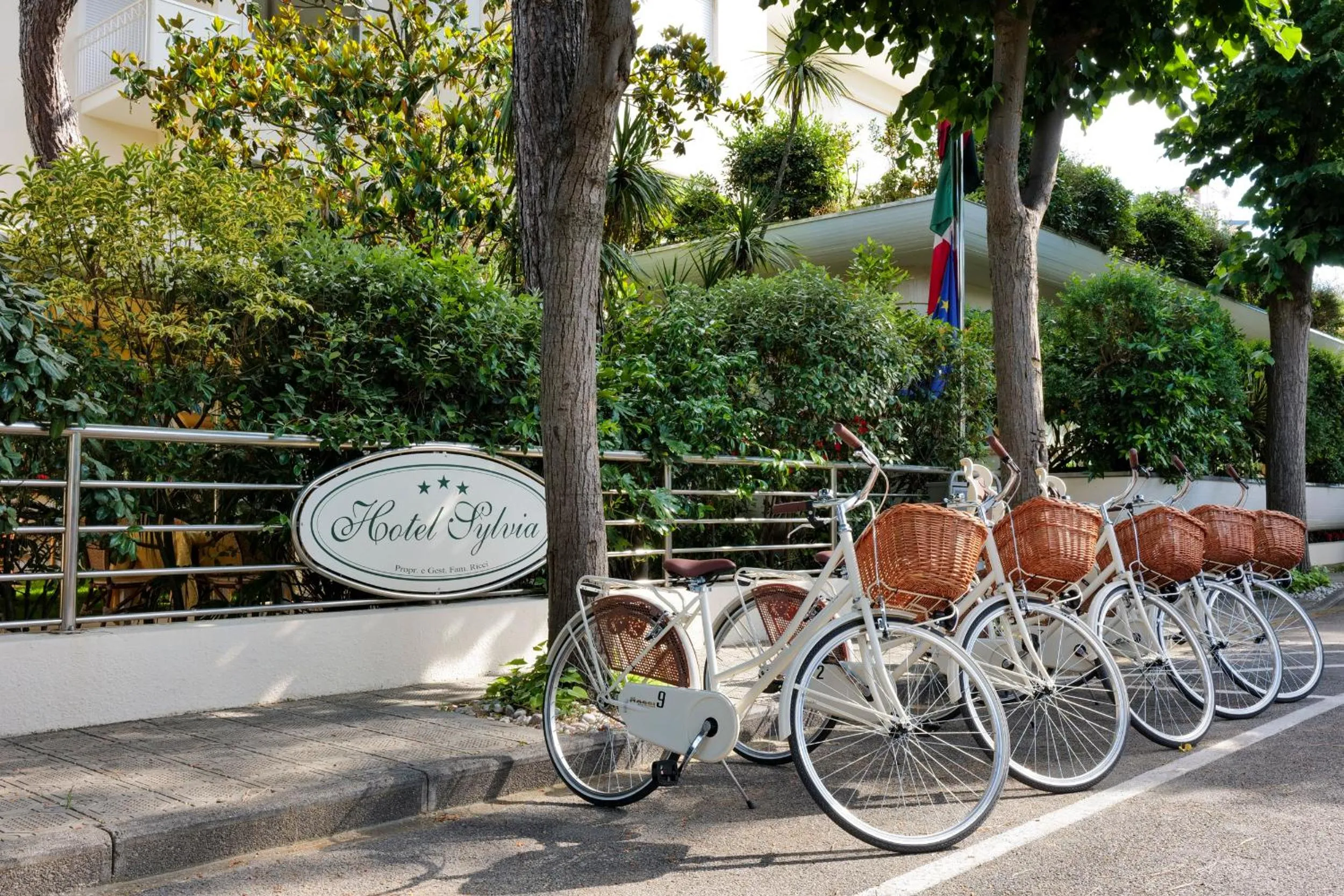 Activities in Hotel Sylvia