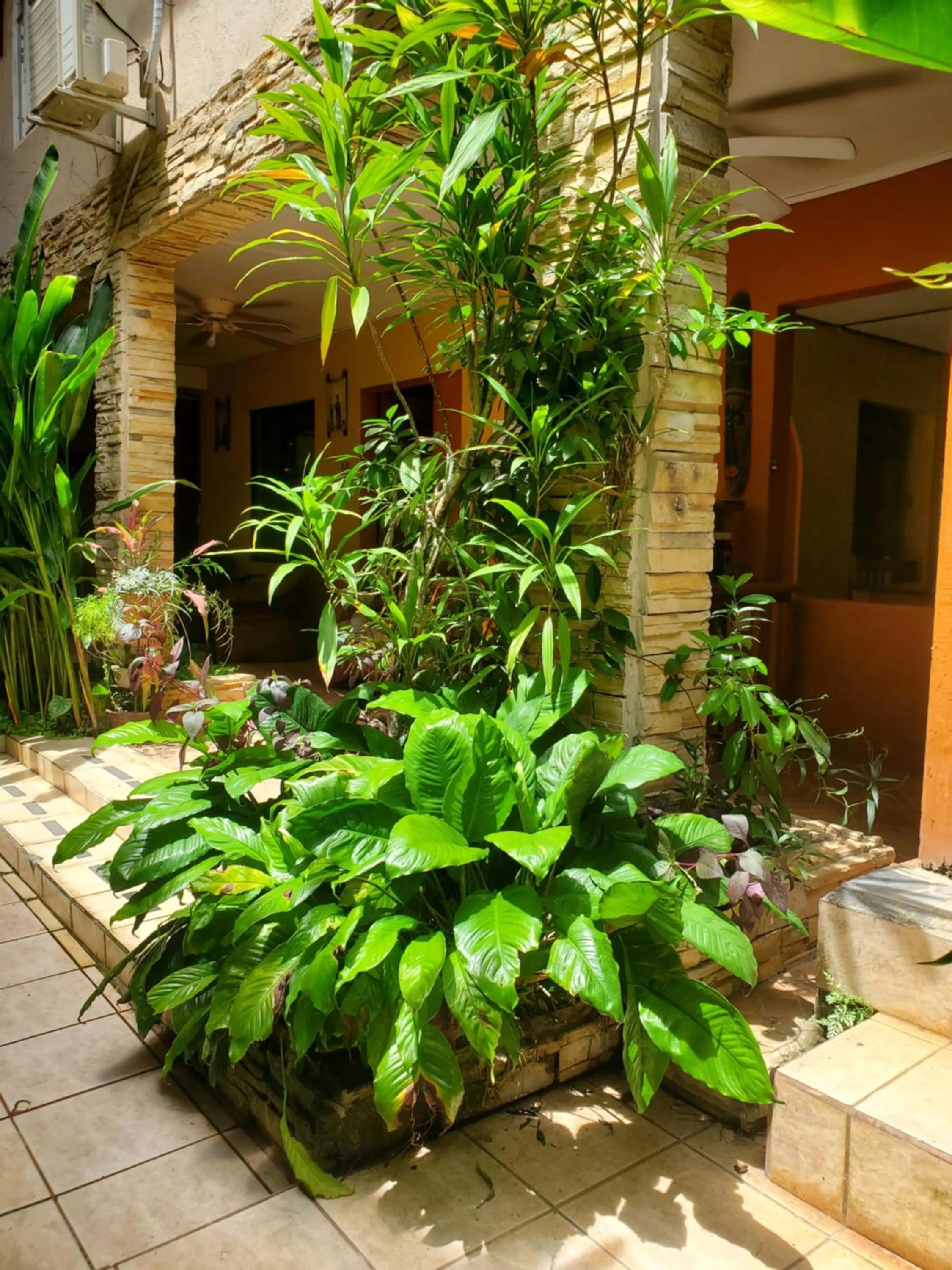 Garden in Hotel Villa Prats