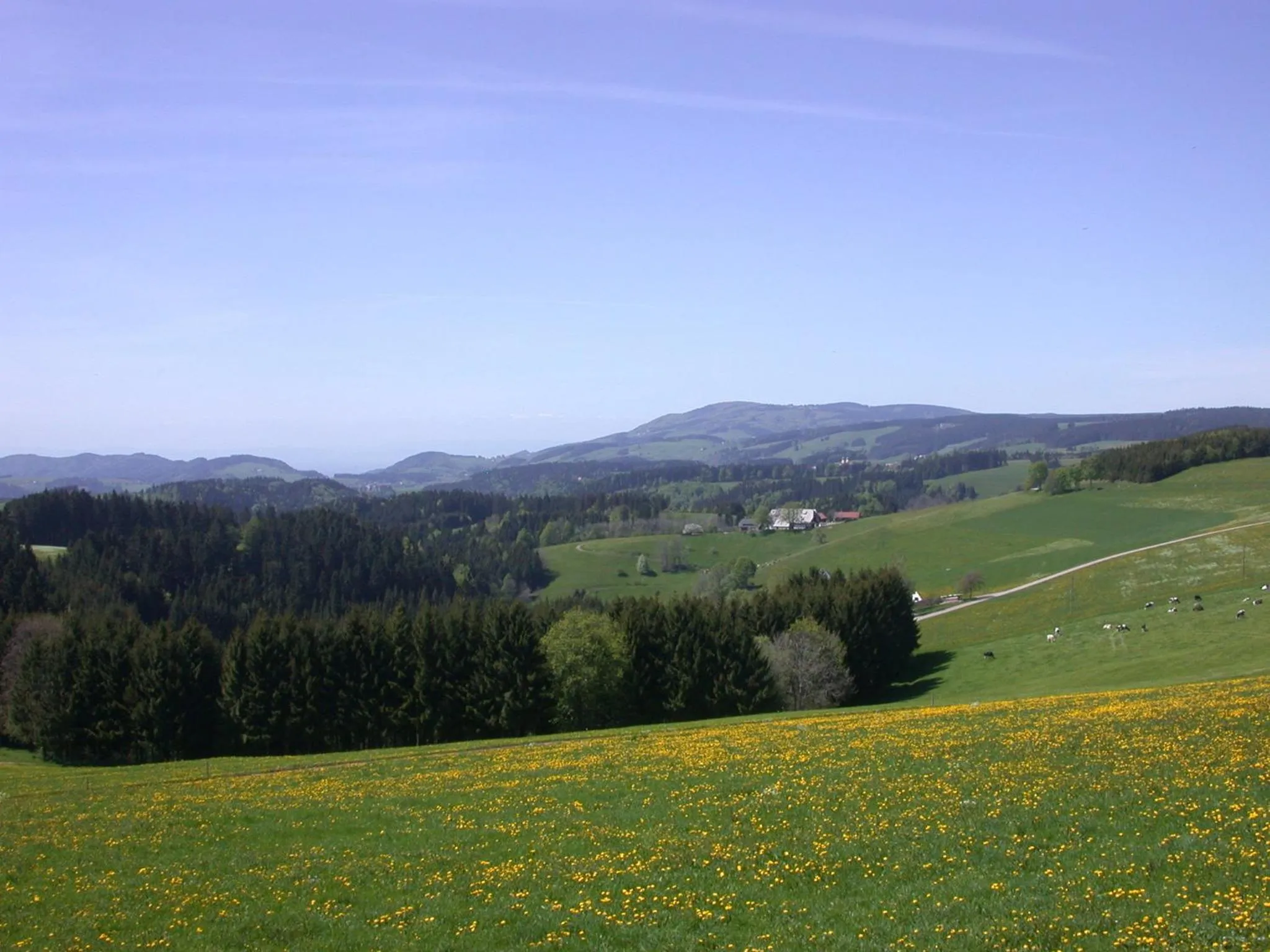 Spring in Bio- und Wellnesshotel Alpenblick