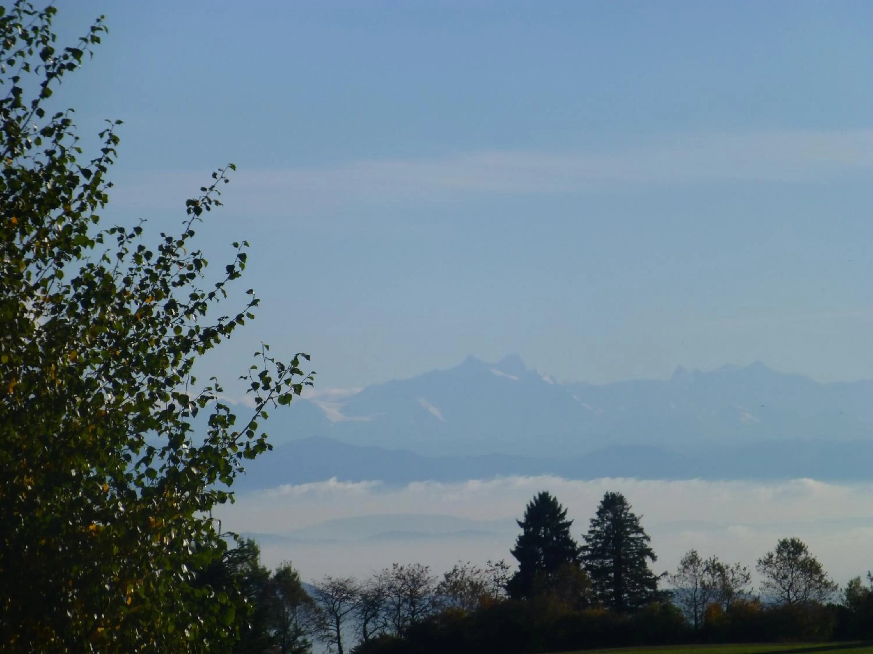Natural landscape in Bio- und Wellnesshotel Alpenblick