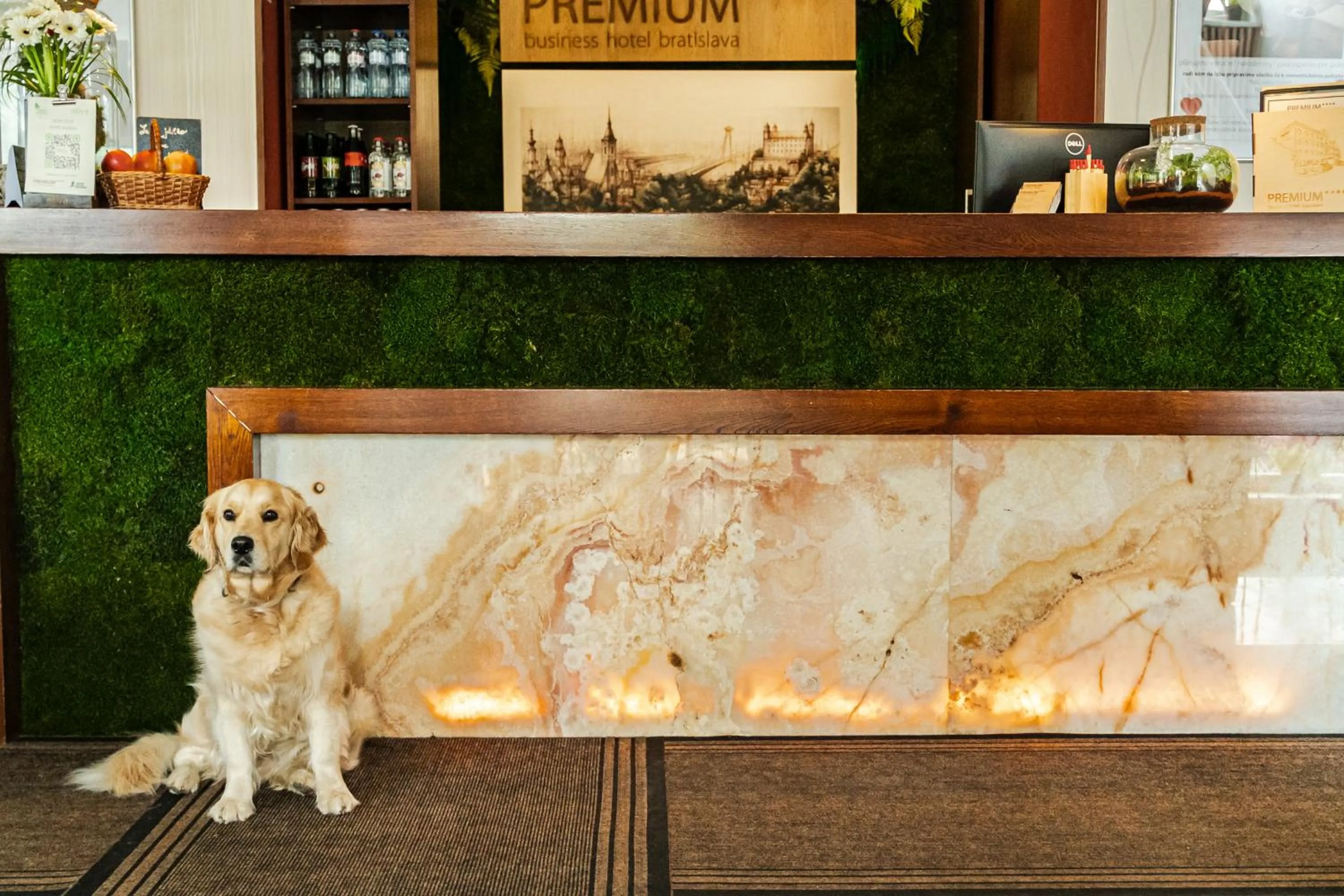 Lobby or reception in PREMIUM Business Hotel Bratislava