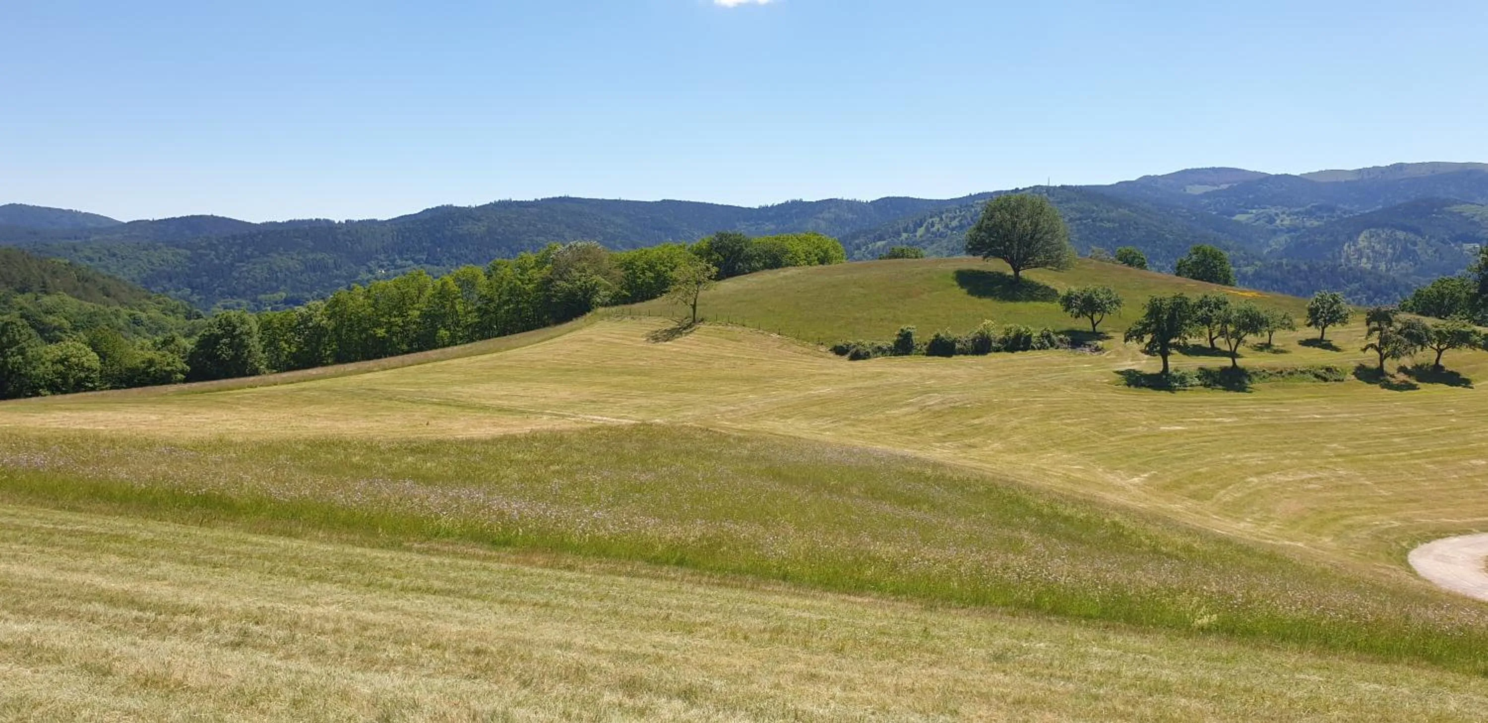 Natural landscape in Hôtel Deybach