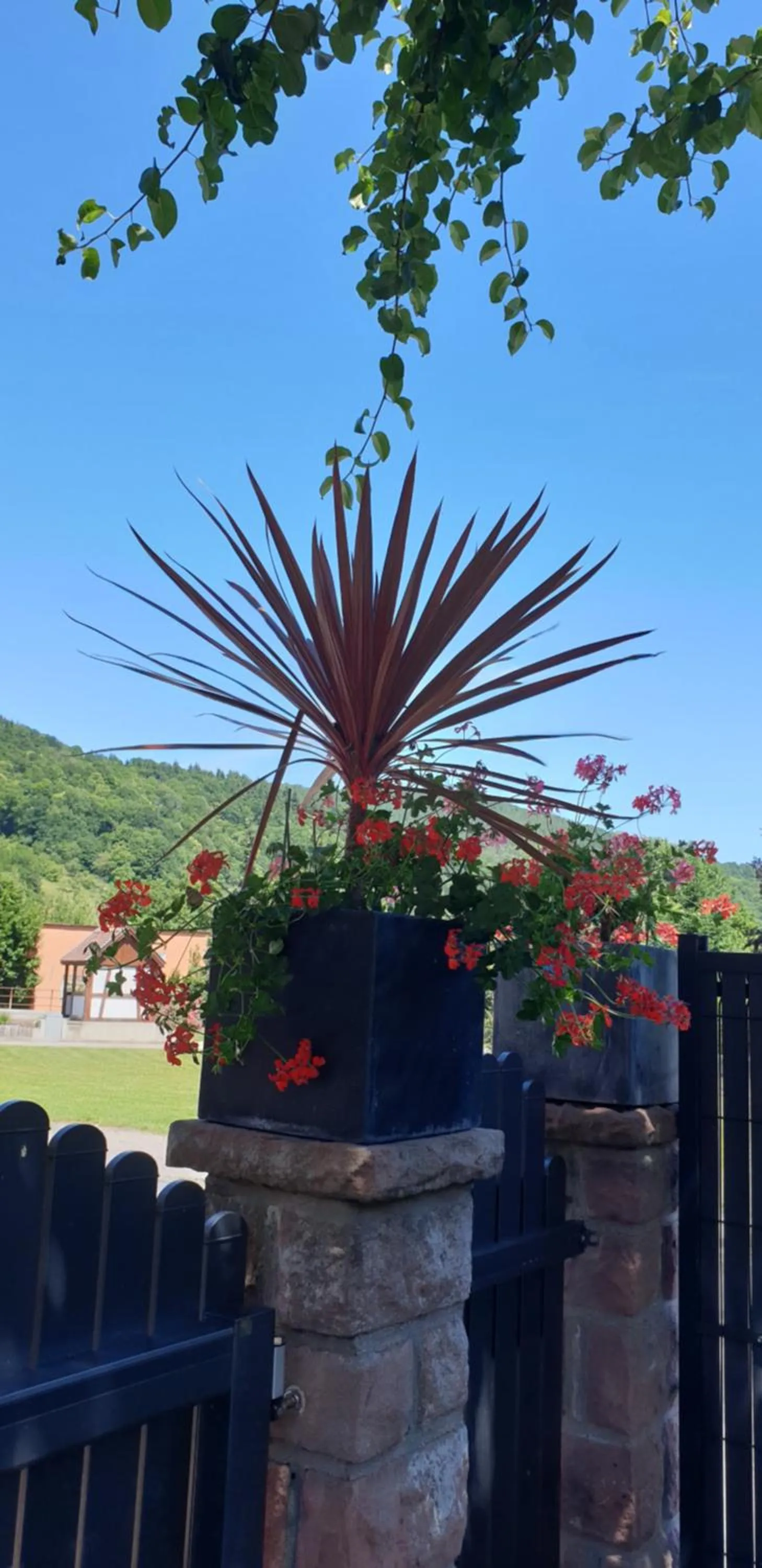 Garden view in Hôtel Deybach