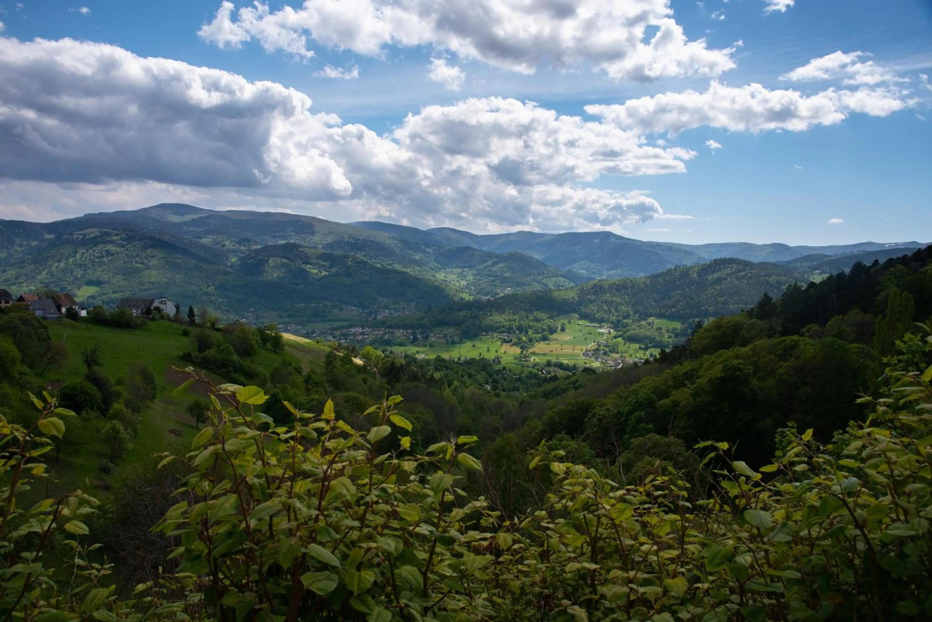 Mountain view in Hôtel Deybach