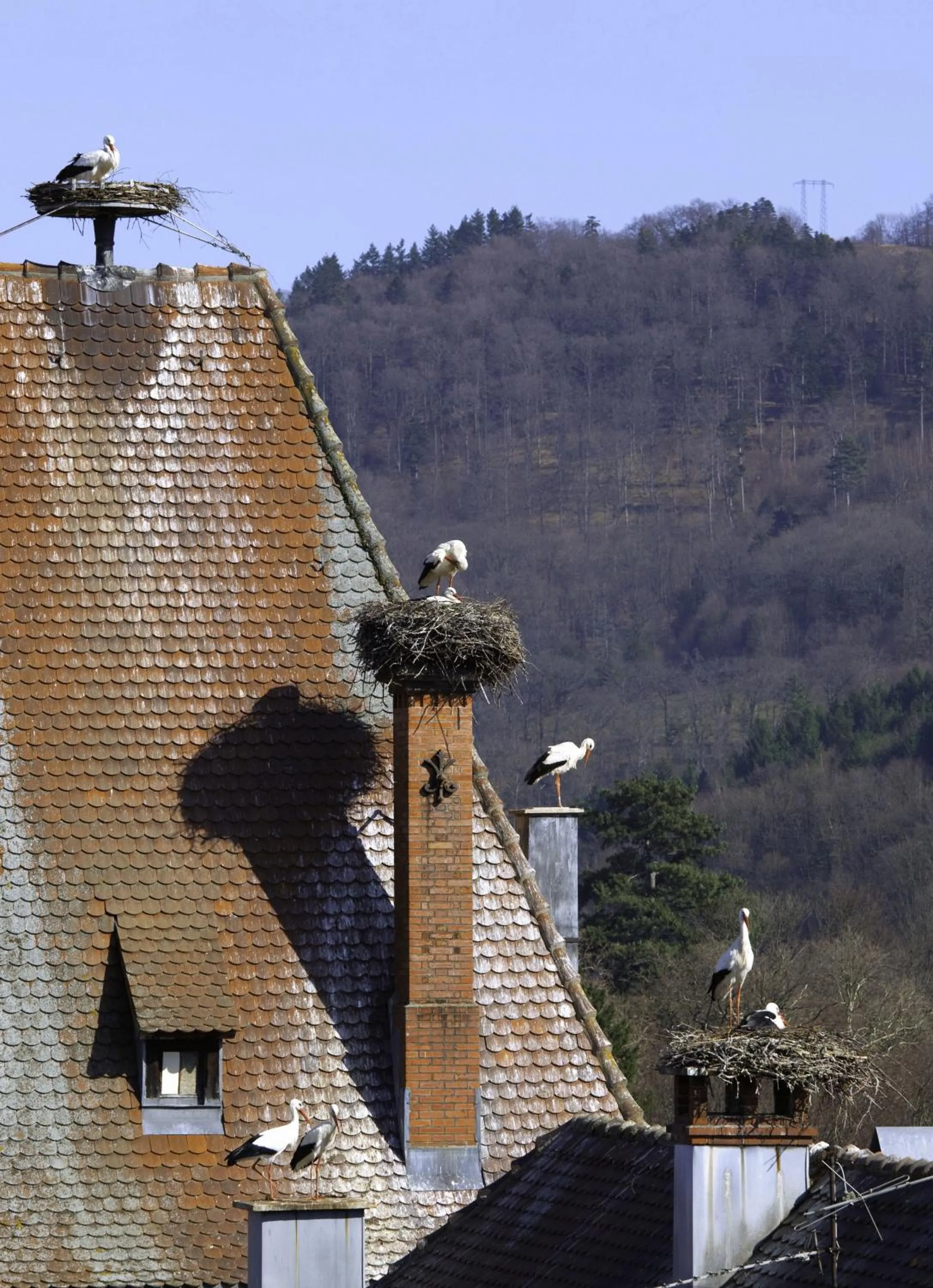Off site in Hôtel Deybach