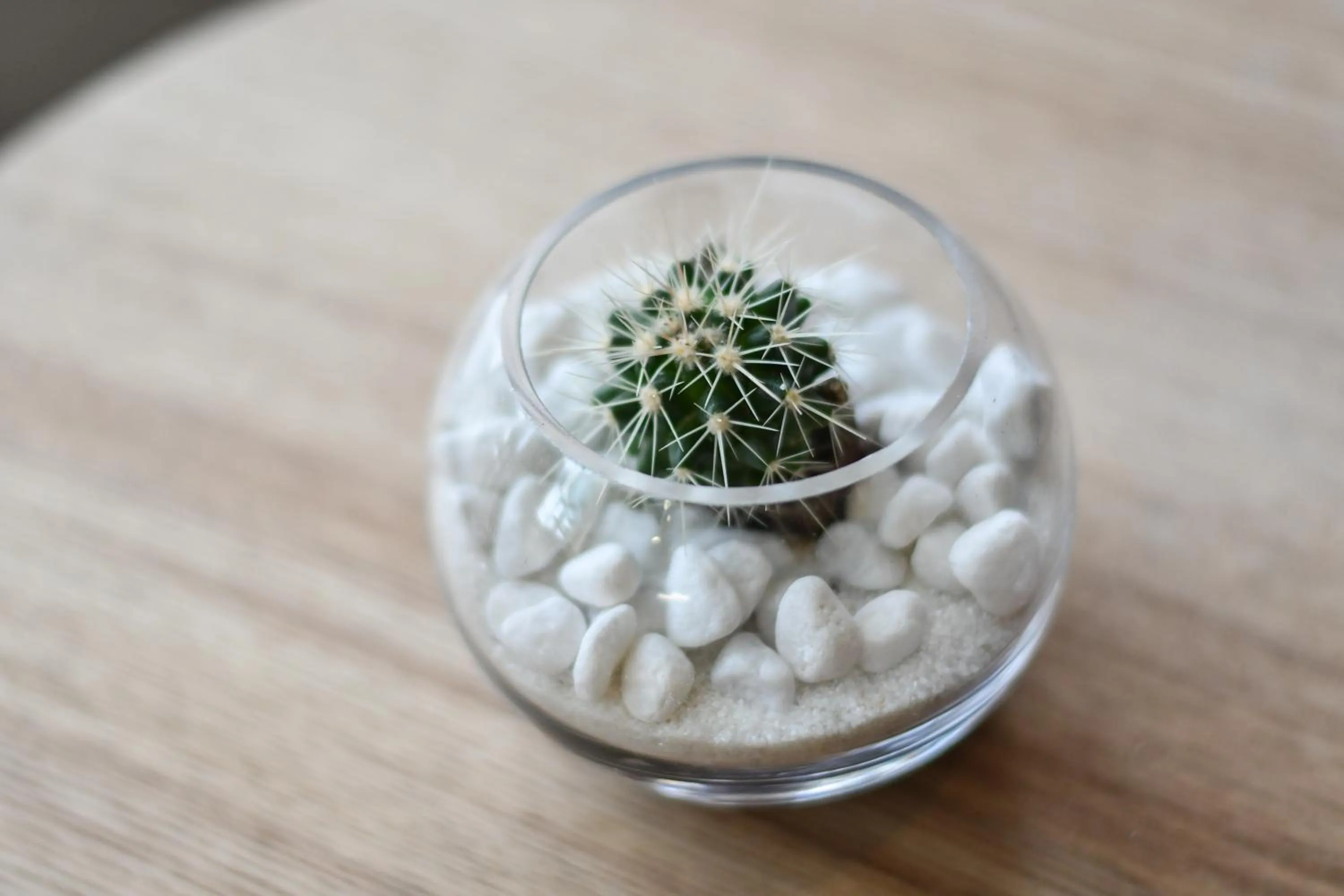 Decorative detail in Hotel Perla