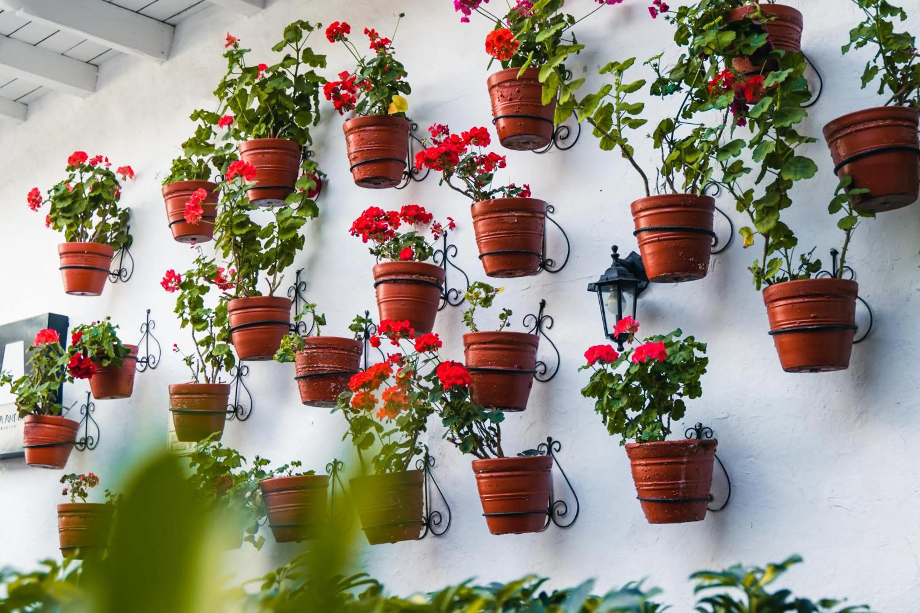 Garden view in Casa Andina Premium Cusco
