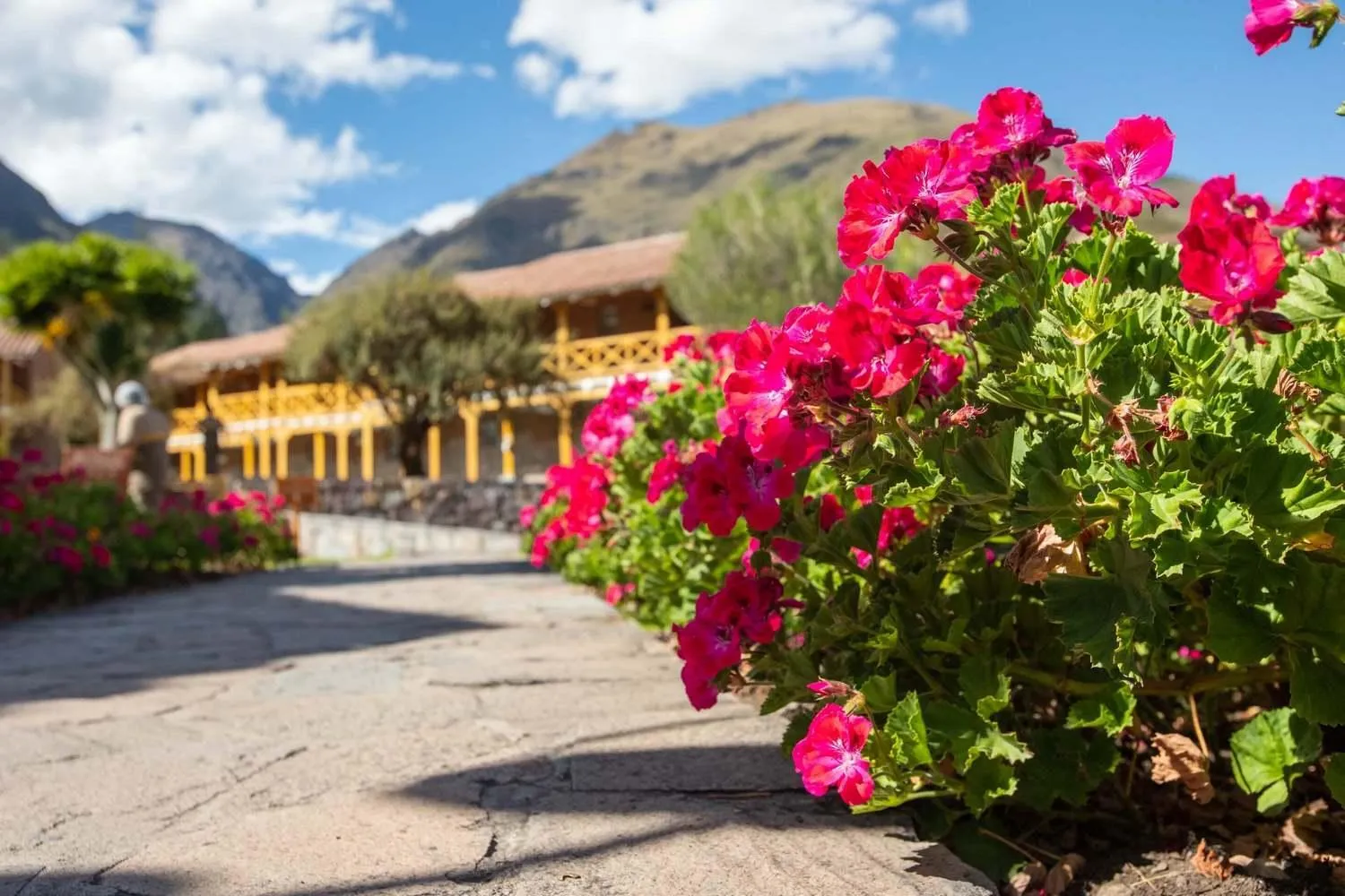 Garden view in Casa Andina Premium Valle Sagrado Hotel & Villas