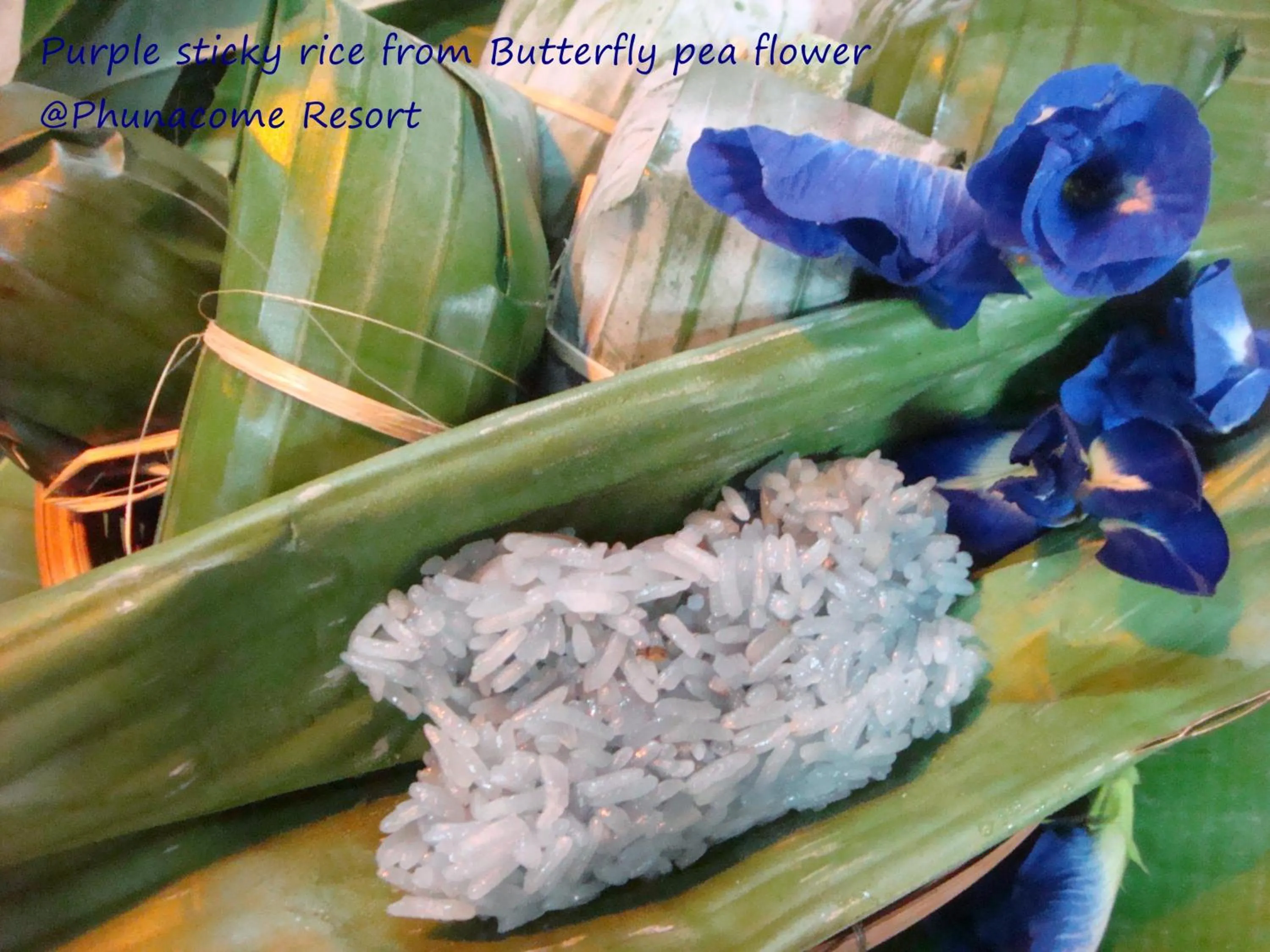 Food and drinks in Phunacome Resort