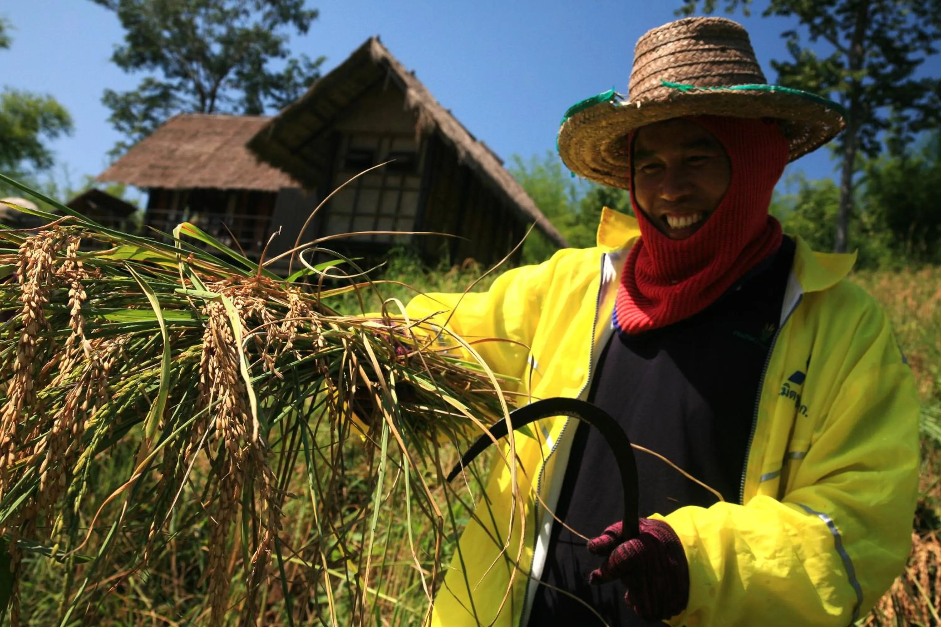 Other in Phunacome Resort